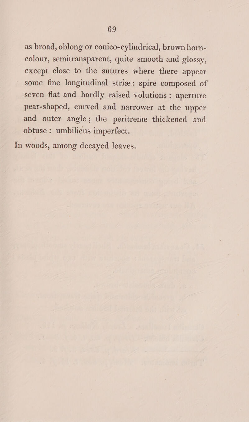 as broad, oblong or conico-cylindrical, brown horn- colour, semitransparent, quite smooth and glossy, except close to the sutures where there appear some fine longitudinal striz: spire composed of seven flat and hardly raised volutions : aperture pear-shaped, curved and narrower at the upper and outer angle; the peritreme thickened and obtuse : umbilicus imperfect.