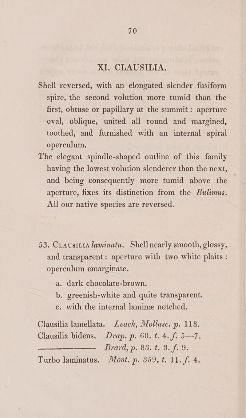 XI. CLAUSILIA. Shell reversed, with an elongated slender fusiform spire, the second volution more tumid than the first, obtuse or papillary at the summit: aperture oval, oblique, united all round and margined, toothed, and furnished with an imternal spiral operculum. The elegant spindle-shaped outline of this family having the lowest volution slenderer than the next, and being consequently more tumid above the | aperture, fixes its distinction from the Bulimus. All our native species are reversed. 53. Crausitialaminata. Shell nearly smooth, glossy, and transparent: aperture with two white plaits : operculum emarginate. a. dark chocolate-brown. b. greenish-white and quite transparent. c. with the internal laminz notched. Clausilia lamellata. Leach, Mollusc. p. 118. Clausilia bidens. Drap. p. 60. t. 4. f. 5—7. — Brard,p. 83. t. 3. f. 9.