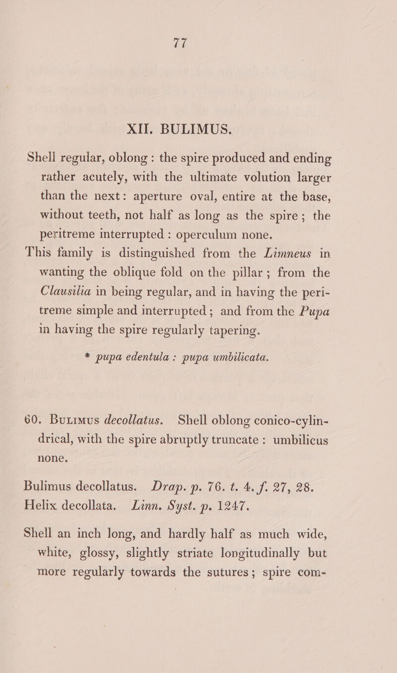 ii XIT. BULIMUS. Shell regular, oblong : the spire produced and ending rather acutely, with the ultimate volution larger than the next: aperture oval, entire at the base, without teeth, not half as long as the spire; the peritreme interrupted : operculum none. This family is distinguished from the Limneus in wanting the oblique fold on the pillar; from the Clausilia in being regular, and in having the peri- treme simple and interrupted; and from the Pupa in having the spire regularly tapering. * pupa edentula : pupa umbilicata. 60. Buximus decollatus. Shell oblong conico-cylin- drical, with the spire abruptly truncate: umbilicus none. Bulimus decollatus. Drap. p. 76. t. 4. f. 27, 28. Helix decollata. Linn. Syst. p. 1247. Shell an inch long, and hardly half as much wide, white, glossy, slightly striate longitudinally but more regularly towards the sutures; spire com-