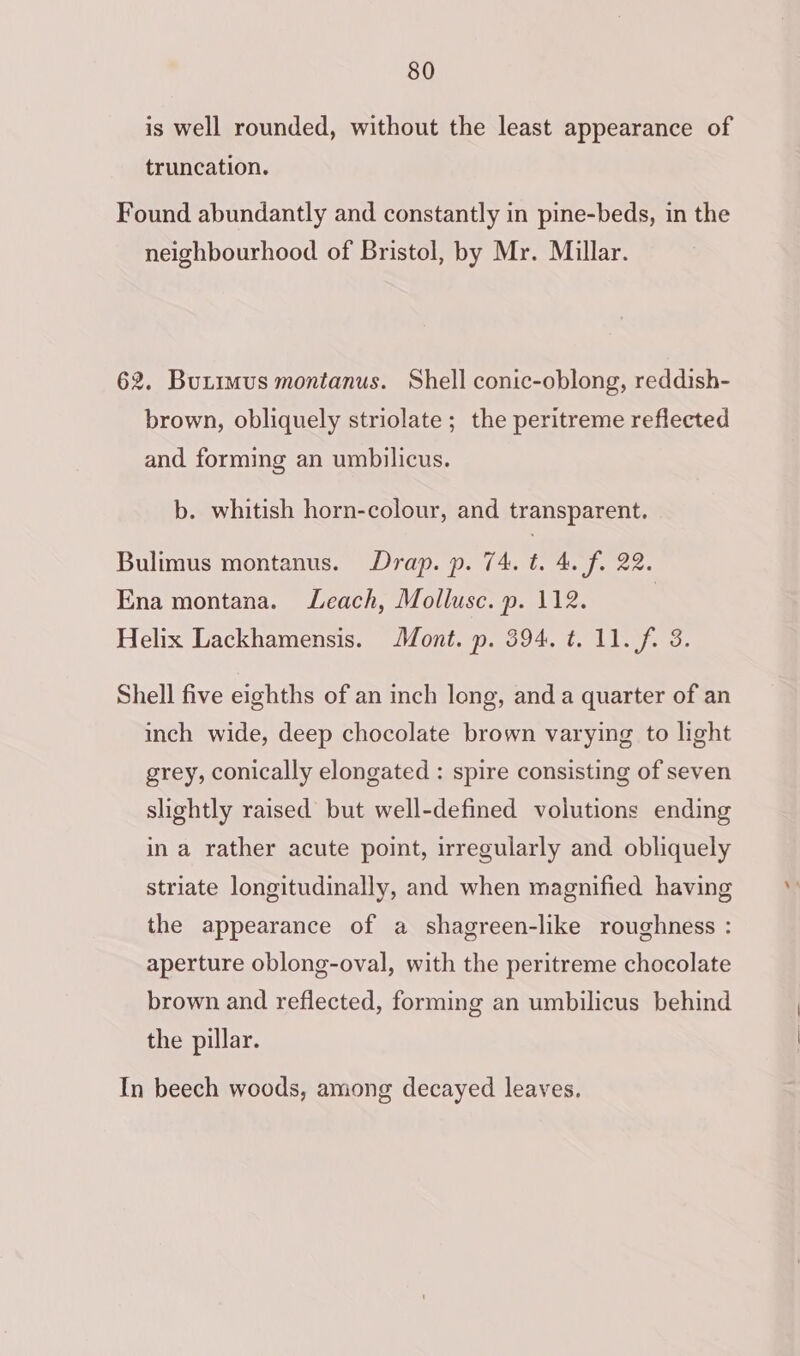 is well rounded, without the least appearance of truncation. Found abundantly and constantly in pine-beds, in the neighbourhood of Bristol, by Mr. Millar. 62. Buximus montanus. Shell conic-oblong, reddish- brown, obliquely striolate ; the peritreme reflected and forming an umbilicus. b. whitish horn-colour, and transparent. Bulimus montanus. Drap. p. 74. t. 4. f. 22. Ena montana. Leach, Mollusc. p. 112. Helix Lackhamensis. Mont. p. 594, t. 11. f. 3. Shell five eighths of an inch long, and a quarter of an inch wide, deep chocolate brown varying to light grey, conically elongated : spire consisting of seven slightly raised but well-defined volutions ending in a rather acute point, irregularly and obliquely striate longitudinally, and when magnified having the appearance of a shagreen-like roughness : aperture oblong-oval, with the peritreme chocolate brown and reflected, forming an umbilicus behind the pillar. In beech woods, among decayed leaves,