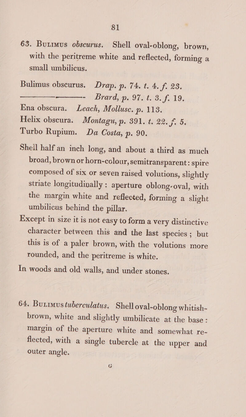 63. Bunimus obscurus. Shell oval-oblong, brown, with the peritreme white and reflected, forming a small umbilicus. Bulimus obscurus. Drap. p. 74. t. 4. f. 23. ie cgi 2 Bradys 97) 173.f. 19, Ena obscura. Leach, Mollusc. p. 113. Helix obscura. Montagu, p. 391. t. 22. Fe he Turbo Rupium. Da Costa, p. 90. Sheil half an inch long, and about a third as much broad, brown or horn-colour, semitransparent: spire composed of six or seven raised volutions, slightly striate longitudinally ; aperture oblong: oval, with the margin white and reflected, forming a slight umbilicus behind the pillar. Except in size it is not easy to form a very distinctive character between this and the last species ; but this is of a paler brown, with the volutions more rounded, and the peritreme is white. In woods and old walls, and under stones. 64. Bunimustuberculatus. Shell oval-oblong whitish- brown, white and slightly umbilicate at the base: margin of the aperture white and somewhat re- flected, with a single tubercle at the upper and outer angle.