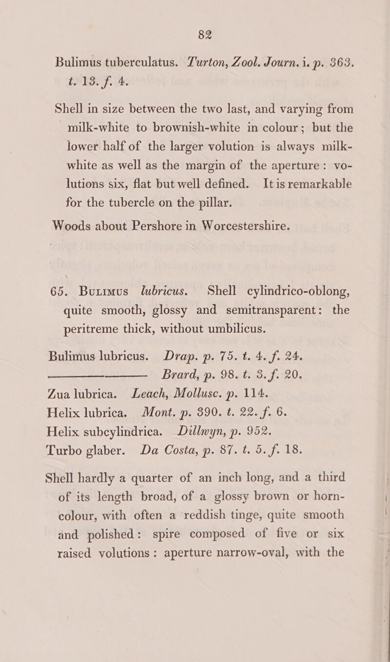 Bulimus tuberculatus. Turton, Zool. Journ.i. p. 363. t. 13. f. 4. Shell in size between the two last, and varying from _milk-white to brownish-white in colour; but the lower half of the larger volution is always milk- white as well as the margin of the aperture: vo- lutions six, flat but well defined. Itis remarkable for the tubercle on the pillar. Woods about Pershore in Worcestershire. 65. Butimvus lubricus. Shell cylindrico-oblong, quite smooth, glossy and semitransparent: the peritreme thick, without umbilicus. Bulimus lubricus. Drap. p. 75. t. 4. fi 24. Sone ae Berard, p. 98. t..3. f.°20. Zua lubrica. Leach, Mollusc. p. 114. Helix lubrica. Mont. p. 390. t. 22. f. 6. Helix subcylindrica. Dzllwyn, p. 952. Turbo glaber. Da Costa, p. 87. t. 5. f. 18. Shell hardly a quarter of an inch long, and a third of its length broad, of a glossy brown or horn- colour, with often a reddish tinge, quite smooth and polished: spire composed of five or six raised volutions : aperture narrow-oval, with the