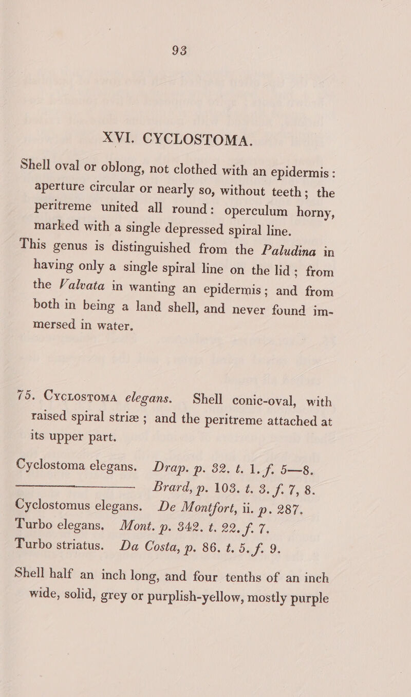 XVI. CYCLOSTOMA. Shell oval or oblong, not clothed with an epidermis : aperture circular or nearly so, without teeth; the peritreme united all round: operculum horny, marked with a single depressed spiral line. This genus is distinguished from the Paludina in having only a single spiral line on the lid ; from the Valvata in wanting an epidermis; and from both in being a land shell, and never found im- mersed in water. 75. CycLostoma elegans. Shell conic-oval, with raised spiral striz ; and the peritreme attached at its upper part. Cyclostoma elegans. Drap. p- 82.6.1. fi 5—8. —___—- Brard, p. 103. ¢. 3. f. 7, 8. Cyclostomus elegans. De Montfort, ii. p. 287. Turbo elegans. Mont. p. 342. t. 22. f. 7. Turbo striatus. Da Costa, p. 86. t. 5. pe. 9. Shell half an inch long, and four tenths of an inch wide, solid, grey or purplish-yellow, mostly purple