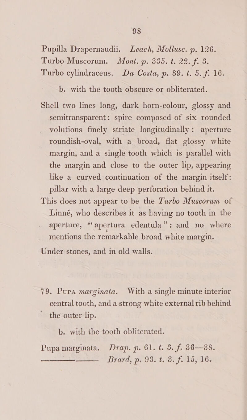 Pupilla Drapernaudii. Leach, Mollusc. p. 126. Turbo Muscorum. Mont. p. 335. t. 22. f. 3. Turbo cylindraceus. Da Costa, p. 89. t. 5. f. 16. b. with the tooth obscure or obliterated. Shell two lines long, dark horn-colour, glossy and semitransparent: spire composed of six rounded volutions finely striate longitudinally: aperture roundish-oval, with a broad, flat glossy white margin, and a single tooth which is parallel with the margin and close to the outer lip, appearing like a curved continuation of the margin itself: pillar with a large deep perforation behind it. This does not appear to be the Z'urbo Muscorum of Linné, who describes it as having no tooth in the aperture, “apertura edentula”: and no where mentions the remarkable broad white margin. Under stones, and in old walls. 79. Pura marginata. With a single minute interior central tooth, and a-strong white external rib behind the outer lip. b. with the tooth obliterated. Pupa marginata. Drap. p. 61. t. 3. f. 36—38. : = 'Brard, po 0s: t. 8. fb 16s