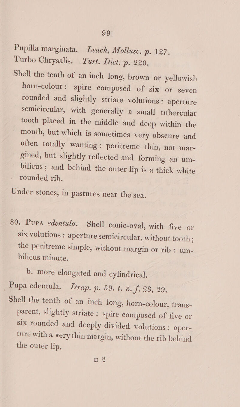 Pupilla marginata. Leach, Mollusc. pile7.. Turbo Chrysalis. Turt. Dict. . 220. Shell the tenth of an inch long, brown or yellowish horn-colour : spire composed of six or seven rounded and slightly striate volutions : aperture semicircular, with generally a small tubercular tooth placed in the middle and deep within the mouth, but which is sometimes very obscure and often totally wanting : peritreme thin, not mar- gined, but slightly reflected and forming an um- bilicus ; and behind the outer lip is a thick white rounded rib, Under stones, in pastures near the sea. 80. Pupa edentula. Shell conic-oval, with five or six volutions : aperture semicircular, without tooth: the peritreme simple, without margin or rib :. um- bilicus minute. b. more elongated and cylindrical. Pupa edentula. Drap. p. 59. t. 3. f. 28, 29, Shell the tenth of an inch long, horn-colour, trans- parent, slightly striate : spire composed of five or six rounded and deeply divided volutions: aper- ture with a very thin margin, without the rib behind the outer lip, H 2