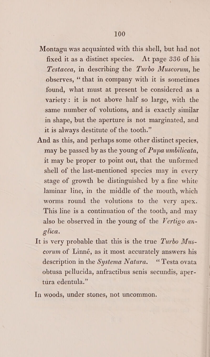 Montagu was acquainted with this shell, but had not fixed it as a distinct species. At page 336 of his Testacea, in describing the Z'urbo Muscorum, he observes, ‘‘ that in company with it is sometimes found, what must at present be considered as a variety: it 1s not above half so large, with the same number of volutions, and is exactly similar in shape, but the aperture is not marginated, and it is always destitute of the tooth.” And as this, and perhaps some other distinct species, may be passed by as the young of Pupa umbilicata, it may be proper to point out, that the unformed shell of the last-mentioned species may in every stage of growth be distinguished by a fine white laminar line, in the middle of the mouth, which worms round the volutions to the very apex. This line is a continuation of the tooth, and may also be observed in the young of the Vertigo an- glica. It is very probable that this is the true Zurbo Mus- corum of Linné, as it most accurately answers his description in the Systema Natura. ‘'Testa ovata obtusa pellucida, anfractibus senis secundis, aper- tura edentula.” In woods, under stones, not uncommon.