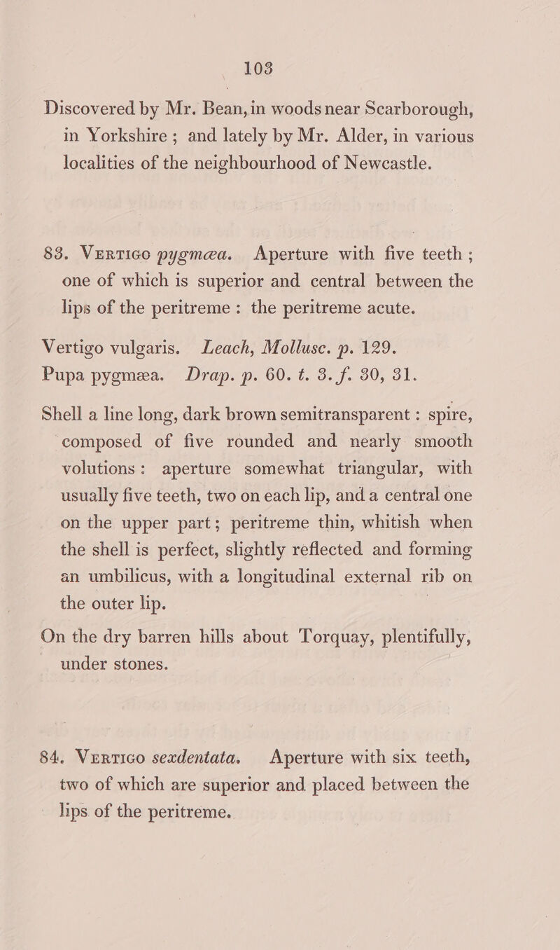 Discovered by Mr. Bean, in woods near Scarborough, in Yorkshire ; and lately by Mr. Alder, in various localities of the neighbourhood of Newcastle. 83. VertTico pygmea. Aperture with five teeth ; one of which is superior and central between the lips of the peritreme : the peritreme acute. Vertigo vulgaris. Leach, Molluse. p. 129. Pupa pygmea. Drap. p. 60. t. 3. f. 30, 31. Shell a line long, dark brown semitransparent : spire, composed of five rounded and nearly smooth volutions: aperture somewhat triangular, with usually five teeth, two on each lip, and a central one on the upper part; peritreme thin, whitish when the shell is perfect, slightly reflected and forming an umbilicus, with a longitudinal external rib on the outer lip. On the dry barren hills about Torquay, plentifully, under stones. 84. Vertico sexdentata. Aperture with six teeth, two of which are superior and placed between the lips of the peritreme.