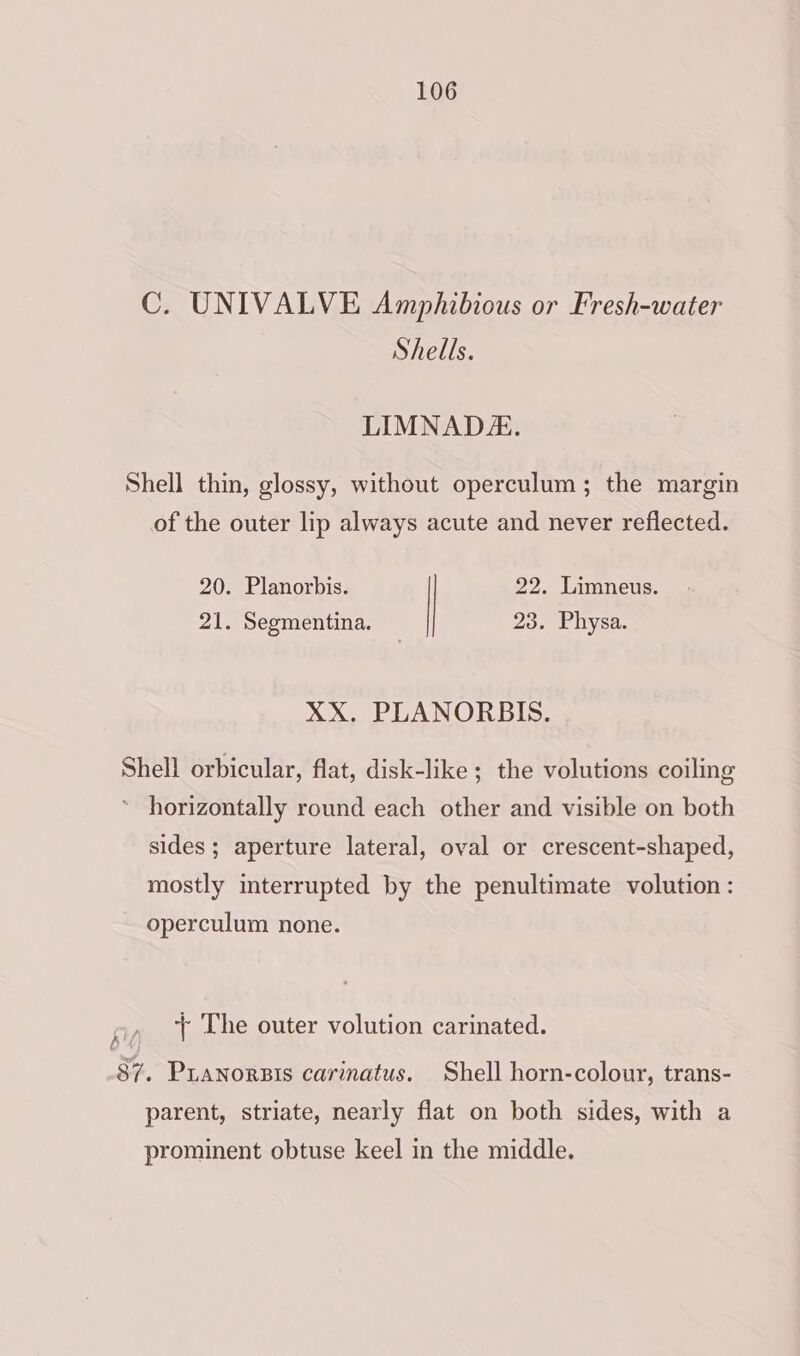 C. UNIVALVE Amphibious or Fresh-water Shells. LIMNAD. Shell thin, glossy, without operculum; the margin of the outer lip always acute and never reflected. 20. Planorbis. | 22. Limneus. 21. Segmentina. 23. Physa. XX. PLANORBIS. Shell orbicular, flat, disk-like ; the volutions coiling ~ horizontally round each other and visible on both sides; aperture lateral, oval or crescent-shaped, mostly interrupted by the penultimate volution: operculum none. Ay, ‘+ The outer volution carinated. 87. Pianorsis carinatus. Shell horn-colour, trans- parent, striate, nearly flat on both sides, with a prominent obtuse keel in the middle.