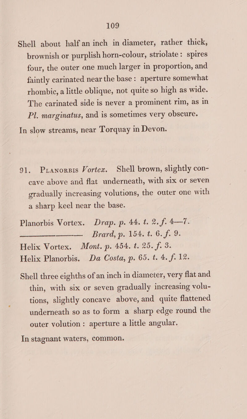 Shell about halfan inch in diameter, rather thick, brownish or purplish horn-colour, striolate: spires four, the outer one much larger in proportion, and faintly carinated near the base: aperture somewhat rhombic, a little oblique, not quite so high as wide. The carinated side is never a prominent rim, as in Pl. marginatus, and is sometimes very obscure. In slow streams, near Torquay in Devon. 91. Pxanorsis Vortex. Shell brown, slightly con- cave above and flat underneath, with six or seven gradually increasing volutions, the outer one with a sharp keel near the base. Planorbis Vortex. Drap. p. 44. t. 2. f. 4—7. _— Brard,p. 154. t. 6. f. 9. Helix Vortex. Mont. p. 454. t. 25. f. 3. Helix Planorbis. Da Costa, p. 65. t. 4. f. 12. Shell three eighths of an inch in diameter, very flat and thin, with six or seven gradually increasing volu- tions, slightly concave above, and quite flattened underneath so as to form a sharp edge round the outer volution : aperture a little angular. In stagnant waters, common.