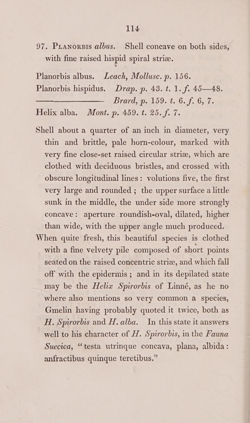 97. Pxianorsis albus. Shell concave on both sides, with fine raised hispid spiral strize. Planorbis albus. Leach, Mollusc. p. 156. Planorbis hispidus. Drap. p. 43. t. 1. f. 45—48. Brard, p. 159.4. 6. f. 6,7; Helix alba. Mont. p. 459. t. 25. f. 7. Shell about a quarter of an inch in diameter, very thin and brittle, pale horn-colour, marked with very fine close-set raised circular striz, which are clothed with deciduous bristles, and crossed with obscure longitudinal lines: volutions five, the first very large and rounded ; the upper surface a little sunk in the middle, the under side more strongly concave: aperture roundish-oval, dilated, higher than wide, with the upper angle much produced. When quite fresh, this beautiful species is clothed with a fine velvety pile composed of short points seated on the raised concentric strize, and which fall off with the epidermis ; and in its depilated state may be the Helix Spirorbis of Linné, as he no where also mentions so very common a species, Gmelin having probably quoted it twice, both as H. Spirorbis and H. alba. In this state 1t answers well to his character of H. Spirorbis, in the Fauna Suecica, “testa utrinque concava, plana, albida: anfractibus quinque teretibus.”