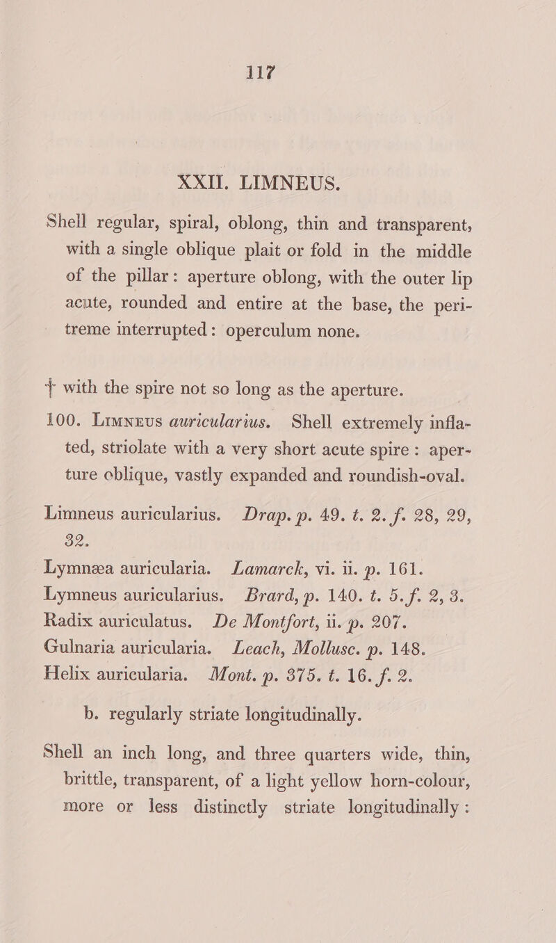 XXII. LIMNEUS. Shell regular, spiral, oblong, thin and transparent, with a single oblique plait or fold in the middle of the pillar: aperture oblong, with the outer lip acute, rounded and entire at the base, the peri- treme interrupted: operculum none. } with the spire not so long as the aperture. 100. Limnzus auricularius. Shell extremely infla- ted, striolate with a very short acute spire: aper- ture oblique, vastly expanded and roundish-oval. Limneus auricularius. Drap. p. 49. t. 2. f. 28, 29, 32. Lymneea auricularia. Lamarck, vi. ii. p. 161. Lymneus auricularius. Brard, p. 140. t. 5.f. 2, 3. Radix auriculatus. De Montfort, ii. p. 207. Gulnaria auricularia. Leach, Mollusc. p. 148. Helix auricularia. Mont. p. 375. t. 16. f. 2. b. regularly striate longitudinally. Shell an inch long, and three quarters wide, thin, brittle, transparent, of a light yellow horn-colour, more or less distinctly striate longitudinally :