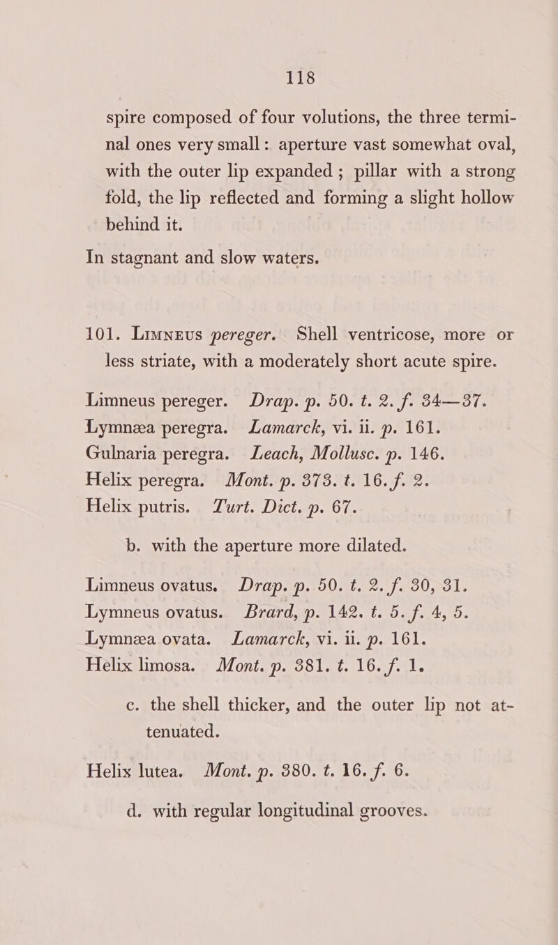 spire composed of four volutions, the three termi- nal ones very small: aperture vast somewhat oval, with the outer lip expanded ; pillar with a strong fold, the lip reflected and forming a slight hollow behind it. In stagnant and slow waters. 101. Limneus pereger. Shell ventricose, more or less striate, with a moderately short acute spire. Limneus pereger. Drap. p. 50. t. 2. fi 34—37. Lymnea peregra. Lamarck, vi. il. p. 161. Gulnaria peregra. Leach, Mollusc. p. 146. Helix peregra. Mont. p. 373. t. 16. f. 2. Helix putris. TZurt. Dict. p. 67. b. with the aperture more dilated. Limneus ovatus. Drap. p. 50. t. 2. f. 30, 31. Lymneus ovatus. Brard, p. 142. t. 5. f. 4, 5. Lymneza ovata. Lamarck, vi. i. p. 161. Helix limosa. Mont. p. 381. ¢. 16. f. 1. c. the shell thicker, and the outer lip not at- tenuated. Helix lutea. Mont. p. 380. t. 16. f. 6. d. with regular longitudinal grooves.
