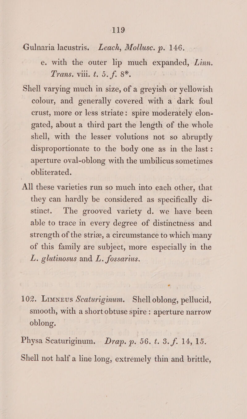 Gulnaria lacustris. Leach, Mollusc. p. 146. e. with the outer lip much expanded, Linn. Transients ti ou f 8, Shell varying much in size, of a greyish or yellowish colour, and generally covered with a dark foul crust, more or less striate: spire moderately elon- gated, about a third part the length of the whole shell, with the lesser volutions not so abruptly disproportionate to the body one as in the last: aperture oval-oblong with the umbilicus sometimes obliterated. ) All these varieties run so much into each other, that they can hardly be considered as specifically di- stmct. The grooved variety d. we have been able to trace in every degree of distinctness and strength of the striae, a circumstance to which many of this family are subject, more especially in the L. glutinosus and L. fossarius. ° 102. Limnrus Scaturiginum. Shell oblong, pellucid, smooth, with a short obtuse spire: aperture narrow oblong. Physa Scaturiginum. Drap. p. 56. t. 3. f. 14, 15. Shell not half a line long, extremely thin and brittle,