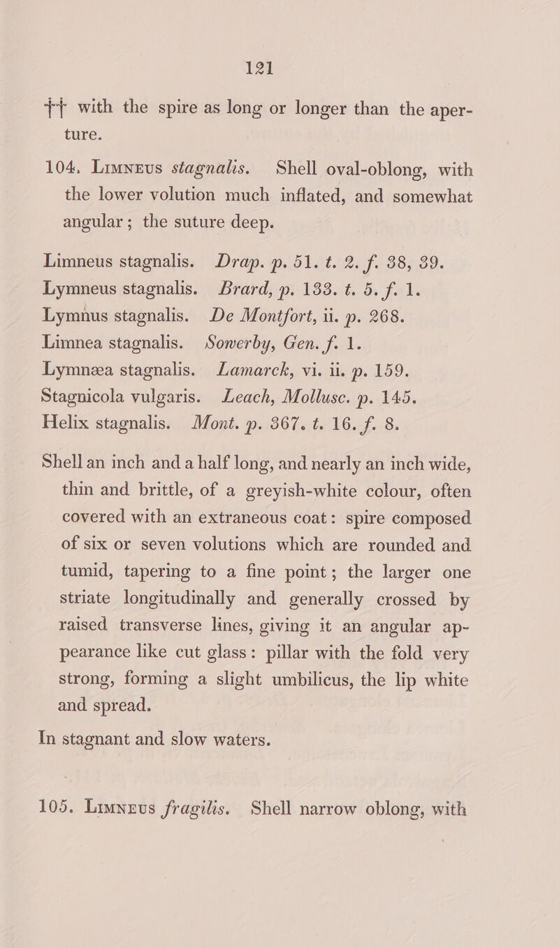 +} with the spire as long or longer than the aper- ture. 104, Limneus stagnalis. Shell oval-oblong, with the lower volution much inflated, and somewhat angular ; the suture deep. Limneus stagnalis. Drap. p. 51. t. 2. f. 38, 39. Lymneus stagnalis. Brard, p. 133. t. 5. f. 1. Lymnus stagnalis. De Montfort, ii. p. 268. Limnea stagnalis. Sowerby, Gen. f. 1. Lymneea stagnalis. Lamarck, vi. ii. p. 159. Stagnicola vulgaris. Leach, Mollusc. p. 145. Helix stagnalis. Mont. p. 367. t. 16. f. 8. Shell an inch and a half long, and nearly an inch wide, thin and brittle, of a greyish-white colour, often covered with an extraneous coat: spire composed of six or seven volutions which are rounded and tumid, tapering to a fine point; the larger one striate longitudinally and generally crossed by raised transverse lines, giving it an angular ap- pearance like cut glass: pillar with the fold very strong, forming a slight umbilicus, the lip white and spread. In stagnant and slow waters. 105. Limneus fragilis. Shell narrow oblong, with