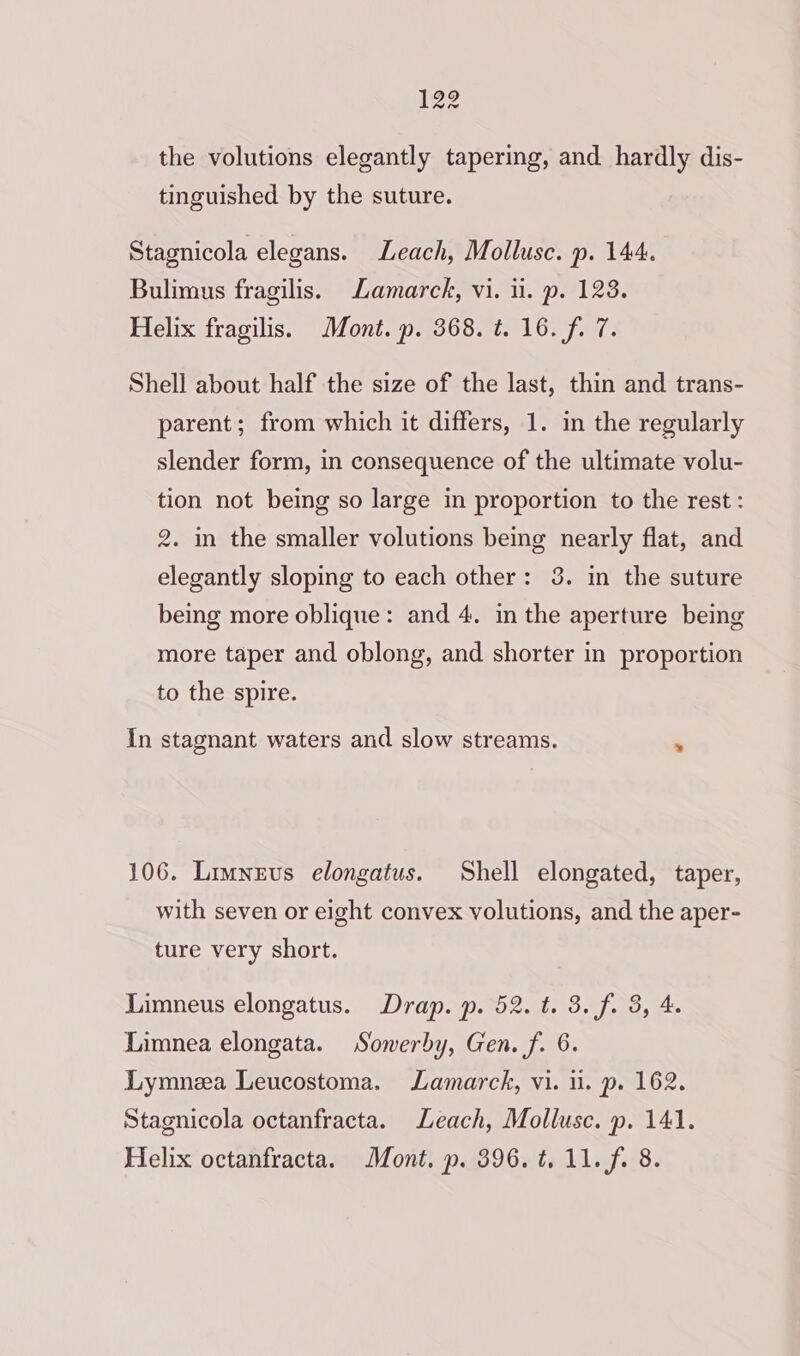 the volutions elegantly tapering, and hardly dis- tinguished by the suture. Stagnicola elegans. Leach, Mollusc. p. 144. Bulimus fragilis. Lamarck, vi. i. p. 123. Helix fragilis. Mont. p. 368. t. 16. f. 7. Shell about half the size of the last, thin and trans- parent; from which it differs, 1. in the regularly slender form, in consequence of the ultimate volu- tion not being so large in proportion to the rest: 2. in the smaller volutions being nearly flat, and elegantly sloping to each other: 3. in the suture being more oblique: and 4. in the aperture being more taper and oblong, and shorter in proportion to the spire. In stagnant waters and slow streams. . 106. Limnevs elongatus. Shell elongated, taper, with seven or eight convex volutions, and the aper- ture very short. Limneus elongatus. Drap. p. 52. t. 3. f. 3, 4. Limnea elongata. Sowerby, Gen. f. 6. Lymnza Leucostoma. Lamarck, vi. i. p. 162. Stagnicola octanfracta. Leach, Mollusc. p. 141. Helix octanfracta. Mont. p. 396.t. 11. f. 8.