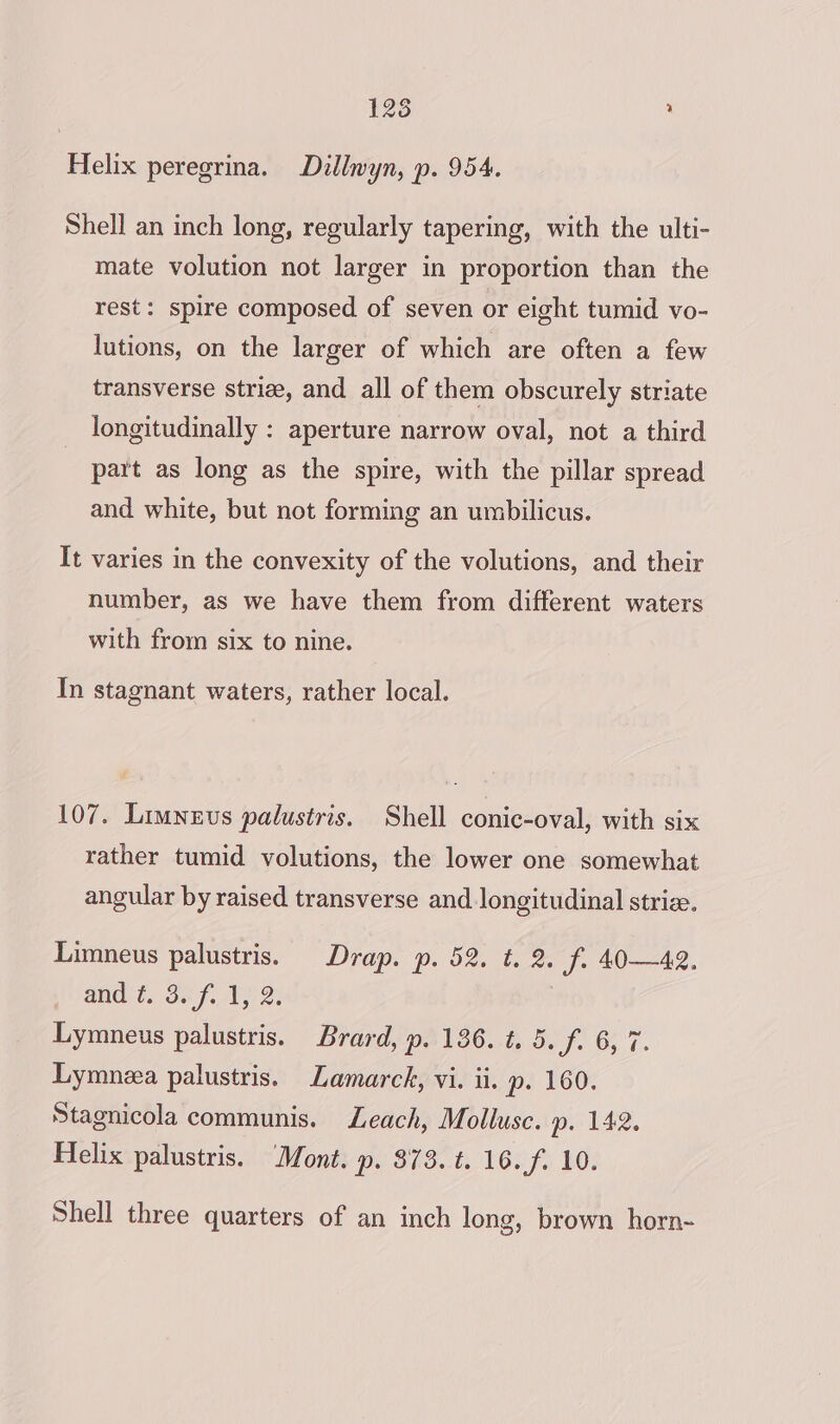 125 ’ Helix peregrina. Dillwyn, p. 954. Shell an inch long, regularly tapering, with the ulti- mate volution not larger in proportion than the rest: spire composed of seven or eight tumid vo- lutions, on the larger of which are often a few transverse striae, and all of them obscurely striate longitudinally : aperture narrow oval, not a third part as long as the spire, with the pillar spread and white, but not forming an umbilicus. It varies in the convexity of the volutions, and their number, as we have them from different waters with from six to nine. In stagnant waters, rather local. 107. Limnevs palustris. Shell conic-oval, with six rather tumid volutions, the lower one somewhat angular by raised transverse and longitudinal strize. Limneus palustris. Drap. p. 52. t. 2. f. 40—42. ands. 3a f, Vy) 2) Lymneus palustris. Brard, p. 136. t. 5. f. 6, 7. Lymnea palustris. Lamarck, vi. ii. p. 160. Stagnicola communis. Leach, Mollusc. p. 142. Helix palustris. Mont. ». $73. t. 16. f. 10. Shell three quarters of an inch long, brown horn-