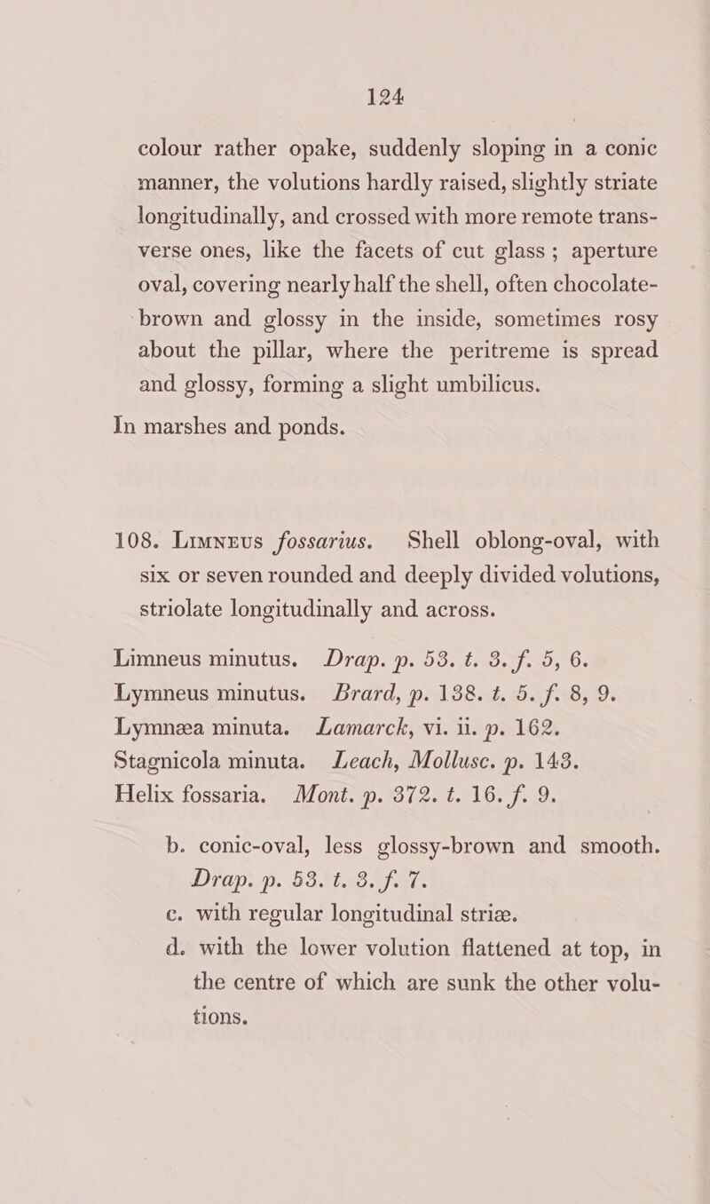 colour rather opake, suddenly sloping in a conic manner, the volutions hardly raised, slightly striate longitudinally, and crossed with more remote trans- verse ones, like the facets of cut glass ; aperture oval, covering nearly half the shell, often chocolate- brown and glossy in the inside, sometimes rosy about the pillar, where the peritreme is spread and glossy, forming a slight umbilicus. In marshes and ponds. 108. Limnevus fossarius. Shell oblong-oval, with six or seven rounded and deeply divided volutions, striolate longitudinally and across. Limneus minutus. Drap. p. 53. t. 3. f. 5, 6. Lymneus minutus. Brard, p. 138. t. 5. f. 8, 9. Lymneza minuta. Lamarck, vi. i. p. 162. Stagnicola minuta. Leach, Mollusc. p. 143. Helix fossaria. Mont. p. 372. t. 16. f. 9. b. conic-oval, less glossy-brown and smooth. Dray. S810. ay ar ce. with regular longitudinal striae. d. with the lower volution flattened at top, in the centre of which are sunk the other volu- tions.