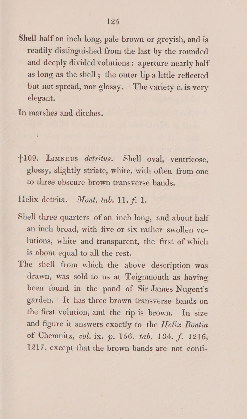 Shell half an inch long, pale brown or greyish, and is readily distinguished from the last by the rounded and deeply divided volutions: aperture nearly half as long as the shell ; the outer lip a little reflected but not spread, nor glossy. The variety c. is very elegant. In marshes and ditches. +109. Liunevs detritus. Shell oval, ventricose, glossy, slightly striate, white, with often from one to three obscure brown transverse bands. Helix detrita. Mont. tab. Ti. fed. Shell three quarters of an inch long, and about half an inch broad, with five or six rather swollen vo- lutions, white and transparent, the first of which is about equal to all the rest. The shell from which the above description was drawn, was sold to us at Teignmouth as having been found in the pond of Sir James Nugent’s garden. It has three brown transverse bands on the first volution, and the tip is brown. In size and figure it answers exactly to the Helix Bontia of Chemnitz, vol. ix. p. 156. tab. 134. Je A216; 1217. except that the brown bands are not conti-