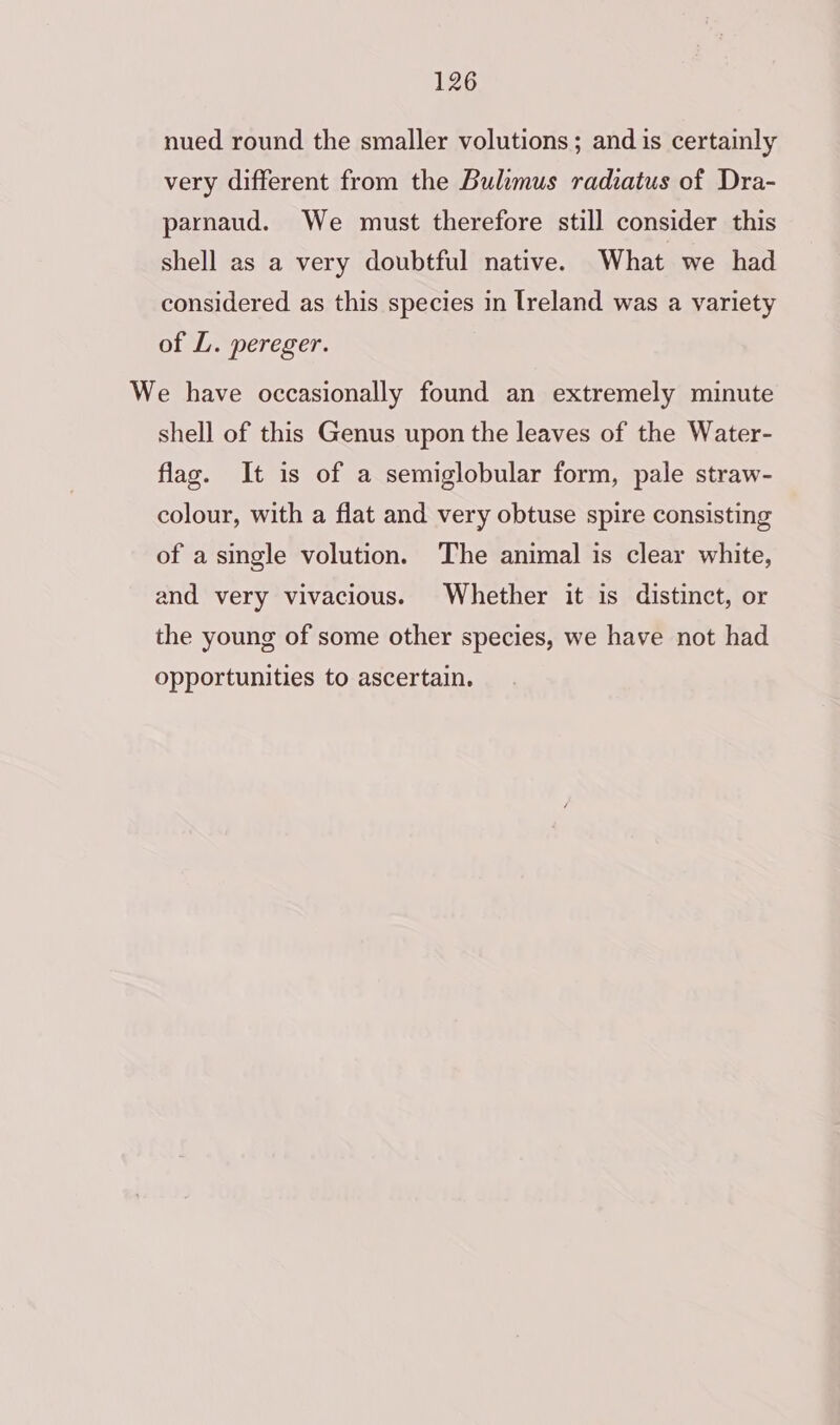 nued round the smaller volutions; and is certainly very different from the Bulimus radiatus of Dra- parnaud. We must therefore still consider this shell as a very doubtful native. What we had considered as this species in [reland was a variety of L. pereger. We have occasionally found an extremely minute shell of this Genus upon the leaves of the Water- flag. It is of a semiglobular form, pale straw- colour, with a flat and very obtuse spire consisting of a single volution. The animal is clear white, and very vivacious. Whether it is distinct, or the young of some other species, we have not had opportunities to ascertain.