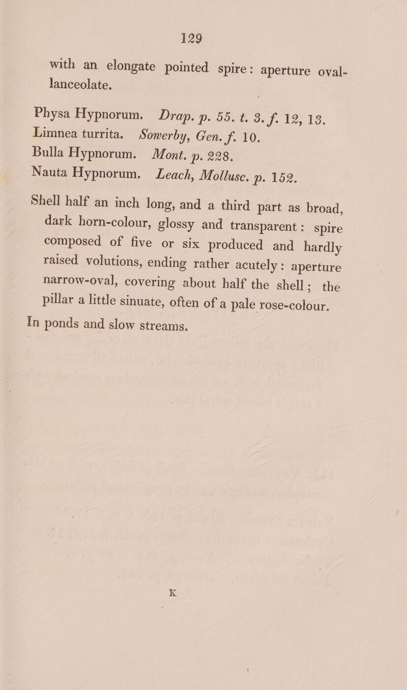 with an elongate pointed spire: aperture oval- lanceolate. Physa Hypnorum. Drap. p.9.%. 3. f. 12, 13. Limnea turrita. Sowerby, Gen. fot, Bulla Hypnorum. Mont. p. 228, Nauta Hypnorum. Leach, Molluse. p. 152. Shell half an inch long, and a third part as broad, dark horn-colour, glossy and transparent : spire composed of five or six produced and hardly raised volutions, ending rather acutely : aperture narrow-oval, covering about half the shell; the pillar a little sinuate, often of a pale rose-colour. In ponds and slow streams.
