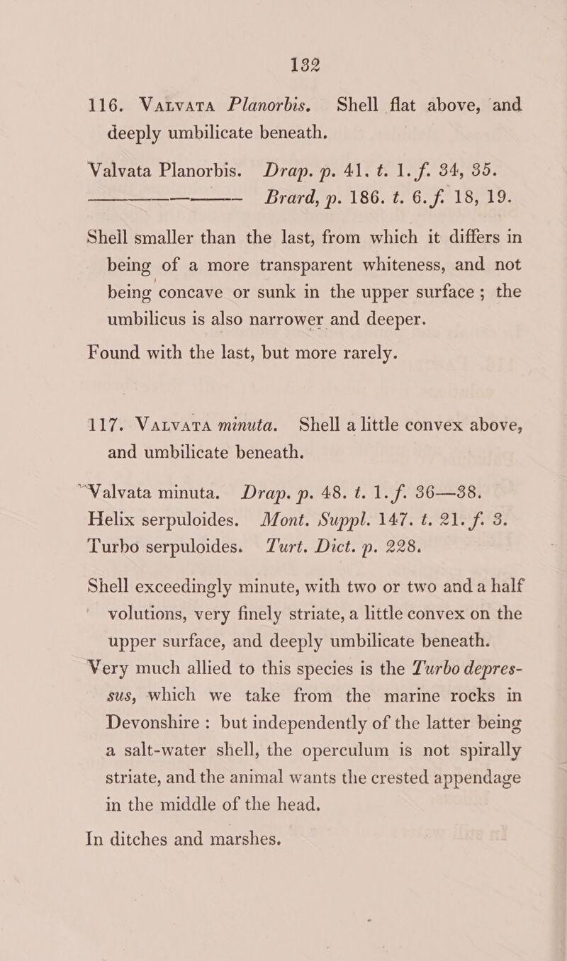 116. Vatvata Planorbis. Shell flat above, and deeply umbilicate beneath. Valvata Planorbis. Drap. p. 41. t=. 1. fi 34, 35. — Brard, p. 186. t. 6. fi 18, 19. a Sheil smaller than the last, from which it differs in being of a more transparent whiteness, and not being concave or sunk in the upper surface ; the umbilicus is also narrower and deeper. Found with the last, but more rarely. 117. Varvara minuta. Shell a little convex above, and umbilicate beneath. “Valvata minuta. Drap. p. 48. t. 1. f. 36—88. Helix serpuloides. Mont. Suppl. 147. t. 21. fi 3. Turbo serpuloides. Zurt. Dict. p. 228. Shell exceedingly minute, with two or two and a half volutions, very finely striate, a little convex on the upper surface, and deeply umbilicate beneath. Very much allied to this species is the Turbo depres- sus, which we take from the marine rocks in Devonshire : but independently of the latter being a salt-water shell, the operculum is not spirally striate, and the animal wants the crested appendage in the middle of the head.