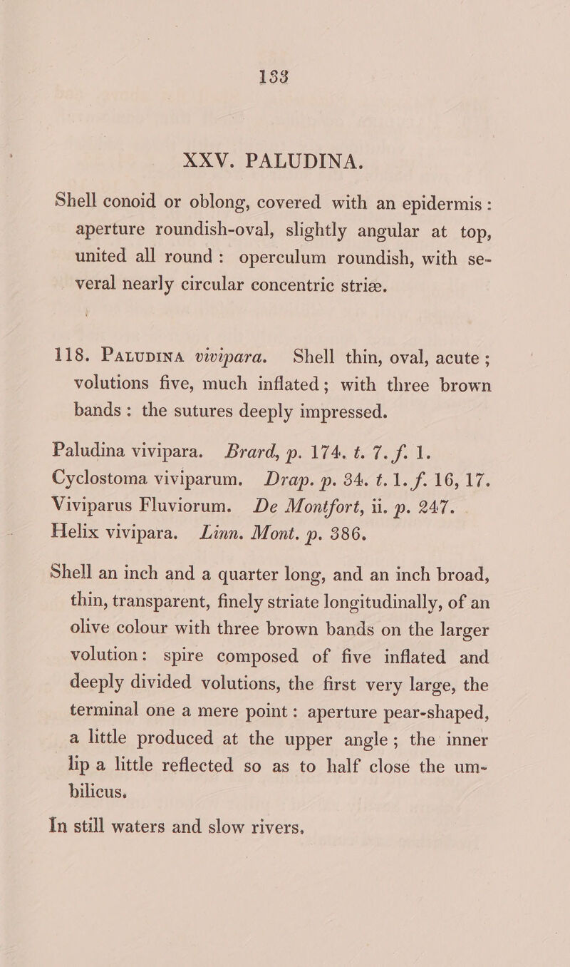 XXV. PALUDINA. Shell conoid or oblong, covered with an epidermis : aperture roundish-oval, slightly angular at top, united all round: operculum roundish, with se- veral nearly circular concentric striz. 118. Patupina vivipara. Shell thin, oval, acute ; volutions five, much inflated; with three brown bands: the sutures deeply impressed. Paludina vivipara. Brard, p. 174. t. 7. f. 1. Cyclostoma viviparum. Drap. p. 34. t.1.f. 16, 17. Viviparus Fluviorum. De Montfort, ii. p. 247. Helix vivipara. Linn. Mont. p. 386. Shell an inch and a quarter long, and an inch broad, thin, transparent, finely striate longitudinally, of an olive colour with three brown bands on the larger volution: spire composed of five inflated and deeply divided volutions, the first very large, the terminal one a mere point: aperture pear-shaped, a little produced at the upper angle; the inner lip a little reflected so as to half close the um- bilicus. In still waters and slow rivers.