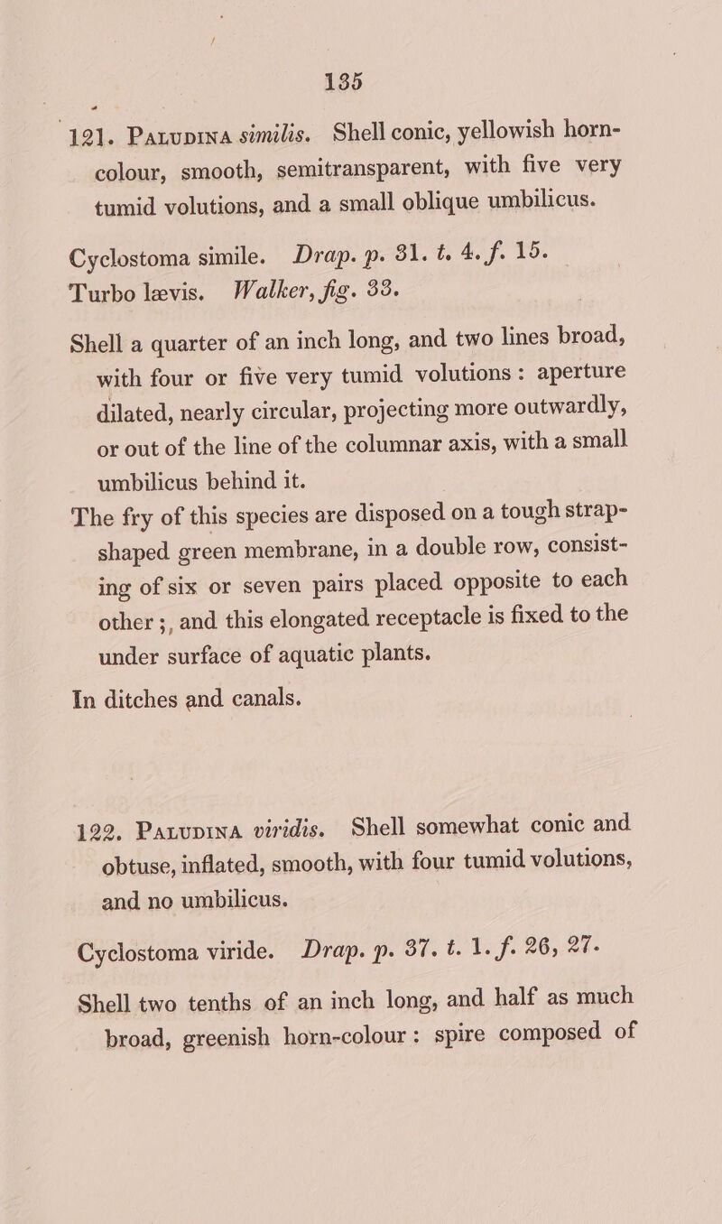 2 121. Paxupina similis. Shell conic, yellowish horn- colour, smooth, semitransparent, with five very tumid volutions, and a small oblique umbilicus. Cyclostoma simile. Drap. p. 31. t. 4. f. 15. Turbo levis. Walker, fig. 33. Shell a quarter of an inch long, and two lines broad, with four or five very tumid volutions: aperture dilated, nearly circular, projecting more outwardly, or out of the line of the columnar axis, with a small umbilicus behind it. The fry of this species are disposed on a tough strap- shaped green membrane, in a double row, consist- ing of six or seven pairs placed opposite to each other ;, and this elongated receptacle is fixed to the under surface of aquatic plants. In ditches and canals. 122. Pazupina viridis. Shell somewhat conic and obtuse, inflated, smooth, with four tumid volutions, and no umbilicus. Cyclostoma viride. Drap. p. 37. t. 1. f. 26, 27. Shell two tenths of an inch long, and half as much broad, greenish horn-colour : spire composed of
