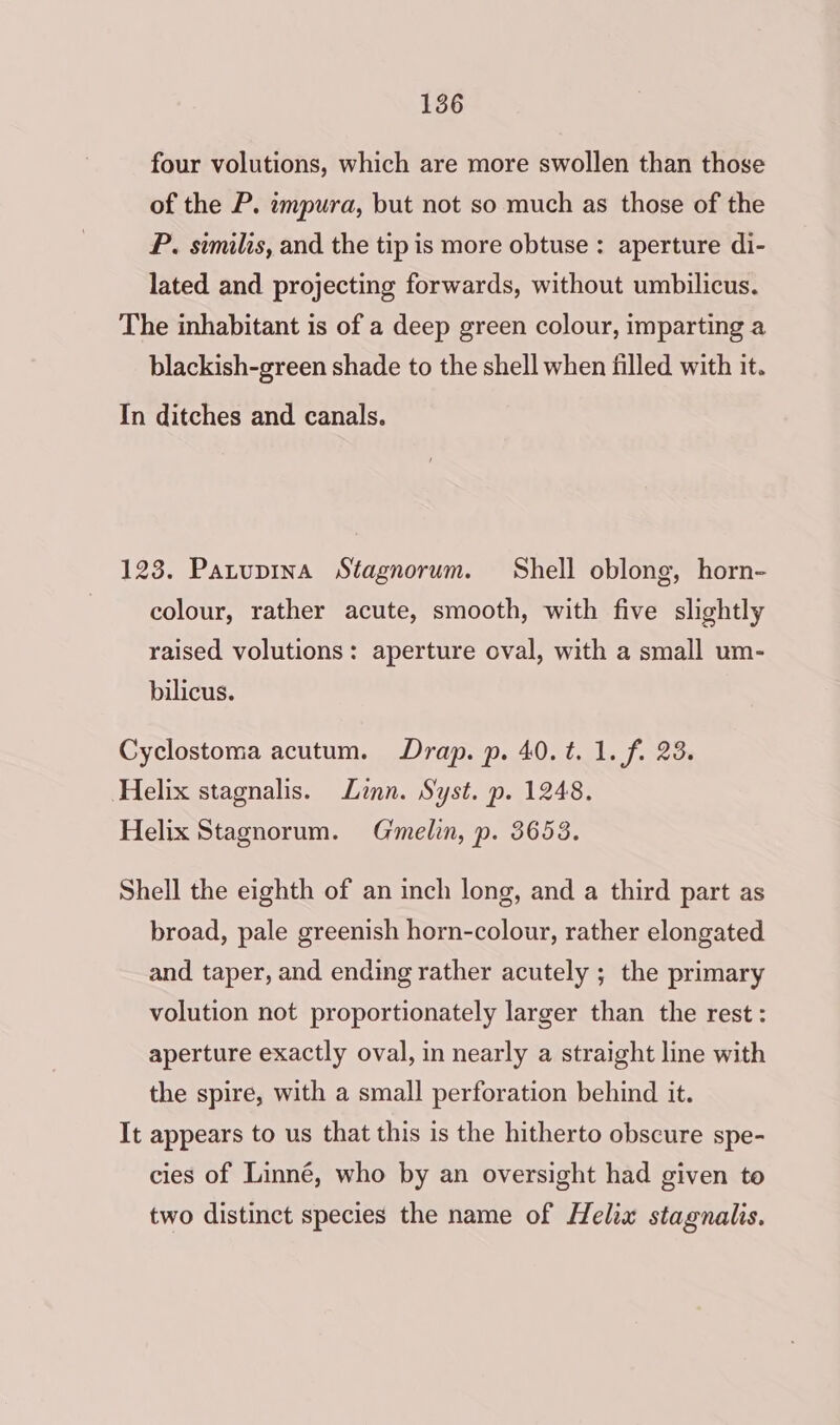 four volutions, which are more swollen than those of the P. impura, but not so much as those of the P. similis, and the tip is more obtuse : aperture di- lated and projecting forwards, without umbilicus. The inhabitant is of a deep green colour, imparting a blackish-green shade to the shell when filled with it. In ditches and canals. 123. Patupina Stagnorum. Shell oblong, horn- colour, rather acute, smooth, with five slightly raised volutions: aperture oval, with a small um- bilicus. Cyclostoma acutum. Drap. p. 40.t. 1. f. 23. Helix stagnalis. Linn. Syst. p. 1248. Helix Stagnorum. Gmelin, p. 3653. Shell the eighth of an inch long, and a third part as broad, pale greenish horn-colour, rather elongated and taper, and ending rather acutely ; the primary volution not proportionately larger than the rest: aperture exactly oval, in nearly a straight line with the spire, with a small perforation behind it. It appears to us that this is the hitherto obscure spe- cies of Linné, who by an oversight had given to two distinct species the name of Helix stagnalis.