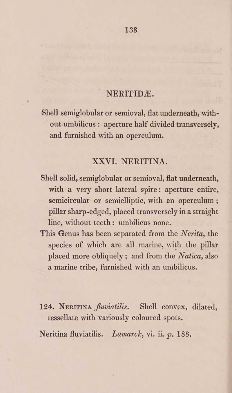 - NERITIDZ. Shell semiglobular or semioval, flat underneath, with- out umbilicus : aperture half divided transversely, and furnished with an operculum. XXVI. NERITINA. Shell solid, semiglobular or semioval, flat underneath, with a very short lateral spire: aperture entire, semicircular or semielliptic, with an operculum ; pillar sharp-edged, placed transversely in a straight line, without teeth: umbilicus none. This Genus has been separated from the Nerita, the species of which are all marine, with the pillar placed more obliquely ; and from the Natica, also a marine tribe, furnished with an umbilicus. 124, Neritina fluviatilis, Shell convex, dilated, tessellate with variously coloured spots. Neritina fluviatilis. Lamarck, vi. ii. p. 188.