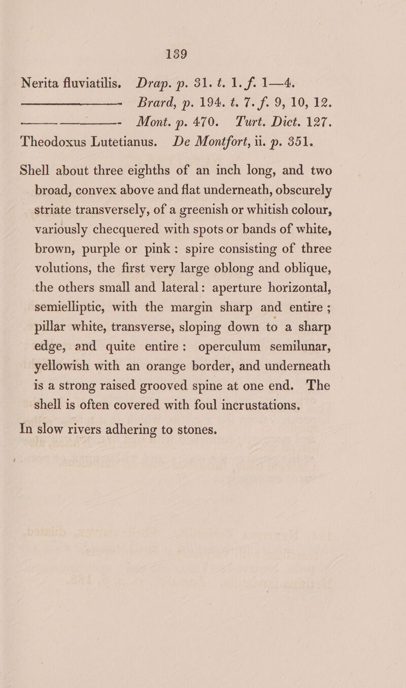 1359 Nerita fluviatilis, Drap. p. 31. ¢. 1. f. 1—4. — Brard, p. 194. t. 7. f. 9, 10, 12. - Mont. p. 470. Turt. Dict. 127. Theodoxus Lutetianus. De Montfort, 1. p. 351. ——s Shell about three eighths of an inch long, and two broad, convex above and flat underneath, obscurely striate transversely, of a greenish or whitish colour, variously checquered with spots or bands of white, brown, purple or pink: spire consisting of three volutions, the first very large oblong and oblique, the others small and lateral: aperture horizontal, semielliptic, with the margin sharp and entire ; pillar white, transverse, sloping down to a sharp edge, and quite entire: operculum semilunar, yellowish with an orange border, and underneath is a strong raised grooved spine at one end. The shell is often covered with foul incrustations. In slow rivers adhering to stones.