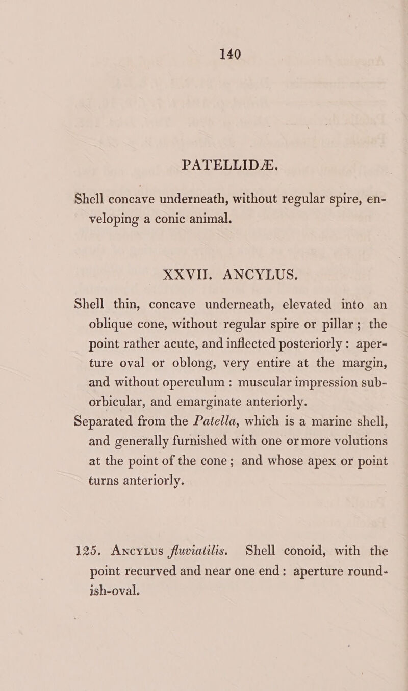 PATELLIDZ. Shell concave underneath, without regular spire, en- veloping a conic animal. XXVIII. ANCYLUS. Shell thin, concave underneath, elevated into an oblique cone, without regular spire or pillar; the point rather acute, and inflected posteriorly : aper- ture oval or oblong, very entire at the margin, and without operculum : muscular impression sub- orbicular, and emarginate anteriorly. Separated from the Patella, which is a marine shell, and generally furnished with one or more volutions at the point of the cone; and whose apex or point turns anteriorly. 125. Ancytus fluviatilis. Shell conoid, with the point recurved and near one end: aperture round- ish-oval.