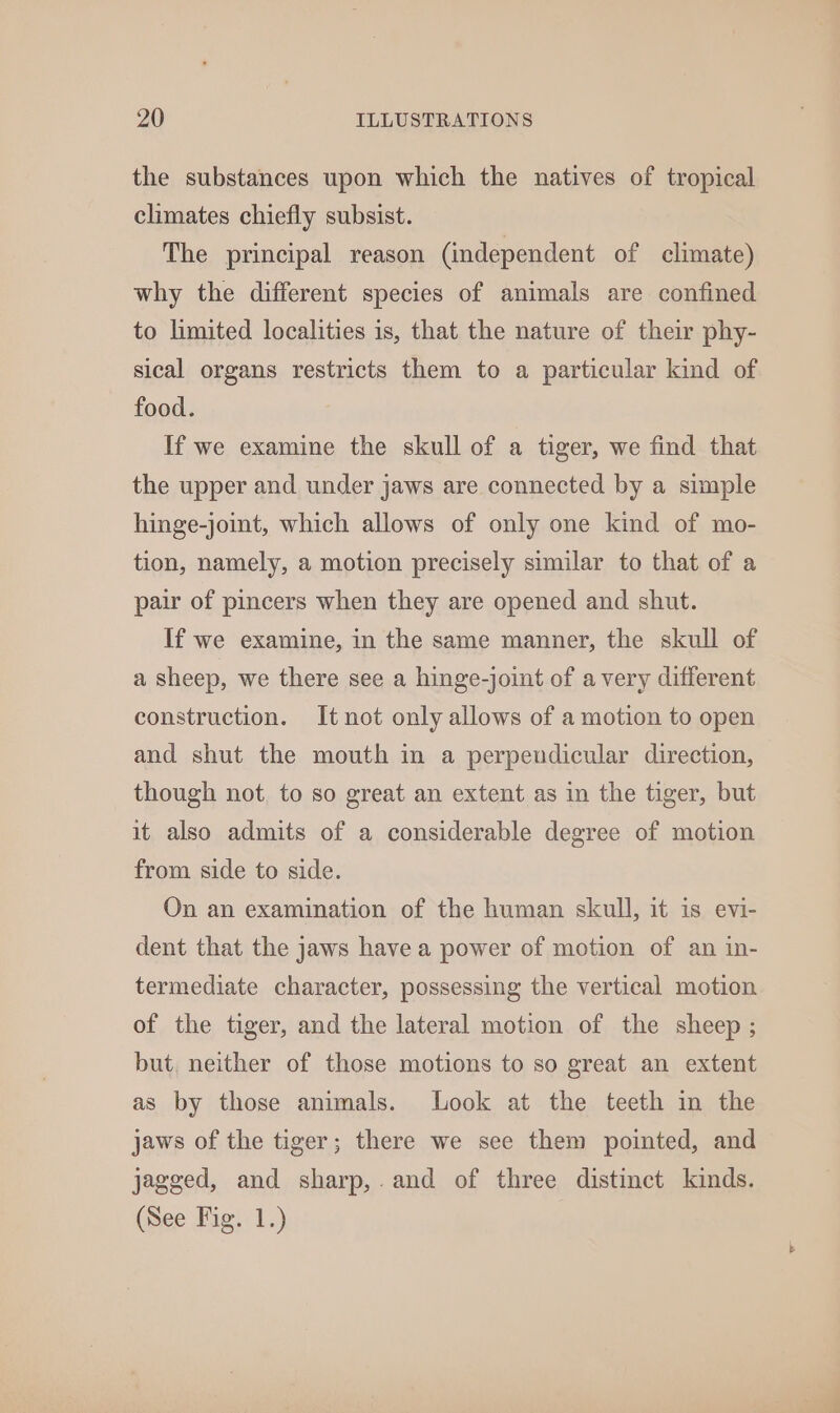 the substances upon which the natives of tropical climates chiefly subsist. The principal reason (independent of climate) why the different species of animals are confined to limited localities is, that the nature of their phy- sical organs restricts them to a particular kind of food. If we examine the skull of a tiger, we find that the upper and under jaws are connected by a simple hinge-joint, which allows of only one kind of mo- tion, namely, a motion precisely similar to that of a pair of pincers when they are opened and shut. If we examine, in the same manner, the skull of a sheep, we there see a hinge-joint of avery different construction. It not only allows of a motion to open and shut the mouth in a perpendicular direction, though not. to so great an extent as in the tiger, but it also admits of a considerable degree of motion from side to side. On an examination of the human skull, it is evi- dent that the jaws have a power of motion of an in- termediate character, possessing the vertical motion of the tiger, and the lateral motion of the sheep ; but, neither of those motions to so great an extent as by those animals. Look at the teeth in the jaws of the tiger; there we see them pointed, and jagged, and sharp,.and of three distinct kinds. (See Fig. 1.)