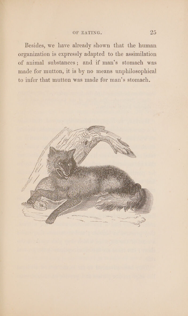 Besides, we have already shown that the human organization is expressly adapted to the assimilation of animal substances; and if man’s stomach was made for mutton, it is by no means unphilosophical to infer that mutton was made for man’s stomach.