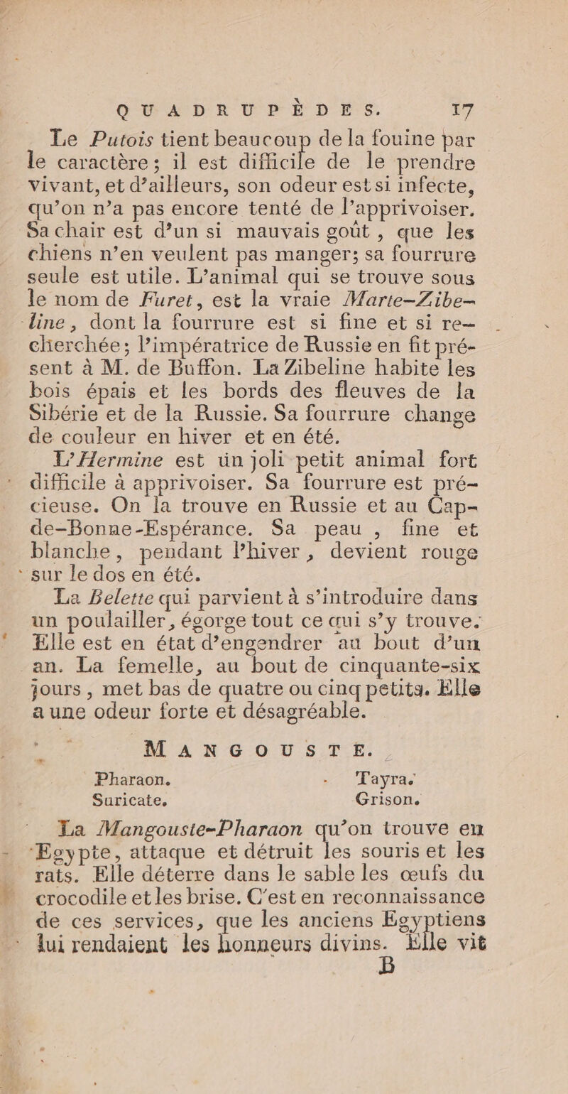 Le Putois tient beaucoup de la fouine par le caractère; il est aifioile de le prendre vivant, et d’ailleurs, son odeur est si infecte, qu’on r’a pas encore tenté de l’apprivoiser. Sa chair est d’un si mauvais goût , que les chiens n’en veulent pas manger; sa fourrure seule est utile. L’animal qui se trouve sous le nom de Furet, est la vraie Marte-Zibe- cherchée; l’impératrice de Russie en fit pré- sent à M. de Buffon. La Zibeline habite les bois épais et les bords des fleuves de la Sibérie et de la Russie. Sa fourrure change de couleur en hiver et en été. 1” Hermine est ün joli petit animal fort difficile à apprivoiser. Sa fourrure est pré- cieuse. On la trouve en Russie et au Cap- de-Bonne-Espérance. Sa peau , fine et blanche, pendant Phiver, devient rouge La Belette qui parvient à s’introduire dans un poulailler, égorge tout ce œui s’y trouve. Elle est en état d’engendrer au bout d’un jours , met bas de quatre ou cinq petits. Elle a une odeur forte et désagréable. MANGOUSTE. Pharaon. - Tayra. Suricate, Grison. La Mangouste-Pharaon qu’on trouve en + rats. Elle déterre dans le sable les œufs du crocodile et les brise. C'est en reconnaissance de ces services, que les anciens Poe lui rendaient les honneurs AE Elle vit D