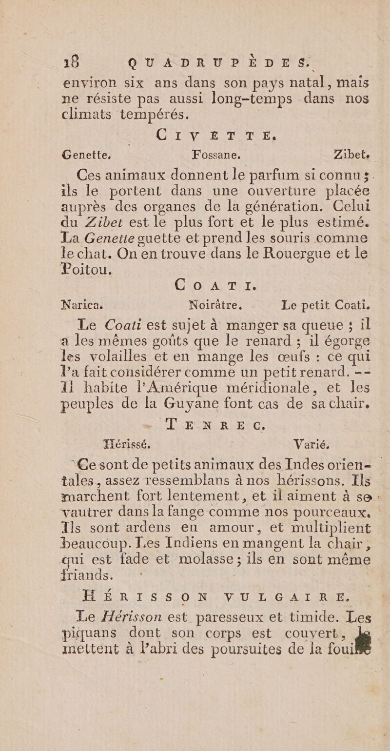 environ six ans dans son pays natal, mais ne résiste pas aussi Jong-temps dans nos climats tempérés. | SAC IT LE TOTSE, Genette. Fossane, Zibete_ Ces animaux donnent le parfum si connus. ils le portent dans une ouverture placée auprès des organes de la génération. Celui du Zibet est le plus fort et le plus estimé. La Genette guette et prend les souris comme le chat. On en trouve dans le Rouergue et le Poitou. Go, Amir. Narica. Noirâtre, Le petit Coati. Le Coaii est sujet à manger sa queue ; il a les mêmes goûts que le renard ; il égorge les volailles et en mange les œufs : ce qui l’a fait considérer comme un petit renard. -- 11 habite l'Amérique méridionale, et les peuples de la Guyane font cas de sa chair. UFINORHETC: Hérissé. Varié. ‘GCesont de petits animaux des Indes orien= tales., assez ressemblans à nos hérissons. Ils marchent fort lentement, et il aiment à se : vautrer dans la fange comme nos pourceaux, Ils sont ardens en amour, et multiplient beaucoup. Les Indiens en mangent la chair, qui est fade et molasse ; ils en sont même friands. HÉRISSON VULGAIRE. Le Hérisson est paresseux et timide. Les piquans dont son corps est couvert, # mettent à l’abri des poursuites de la foui