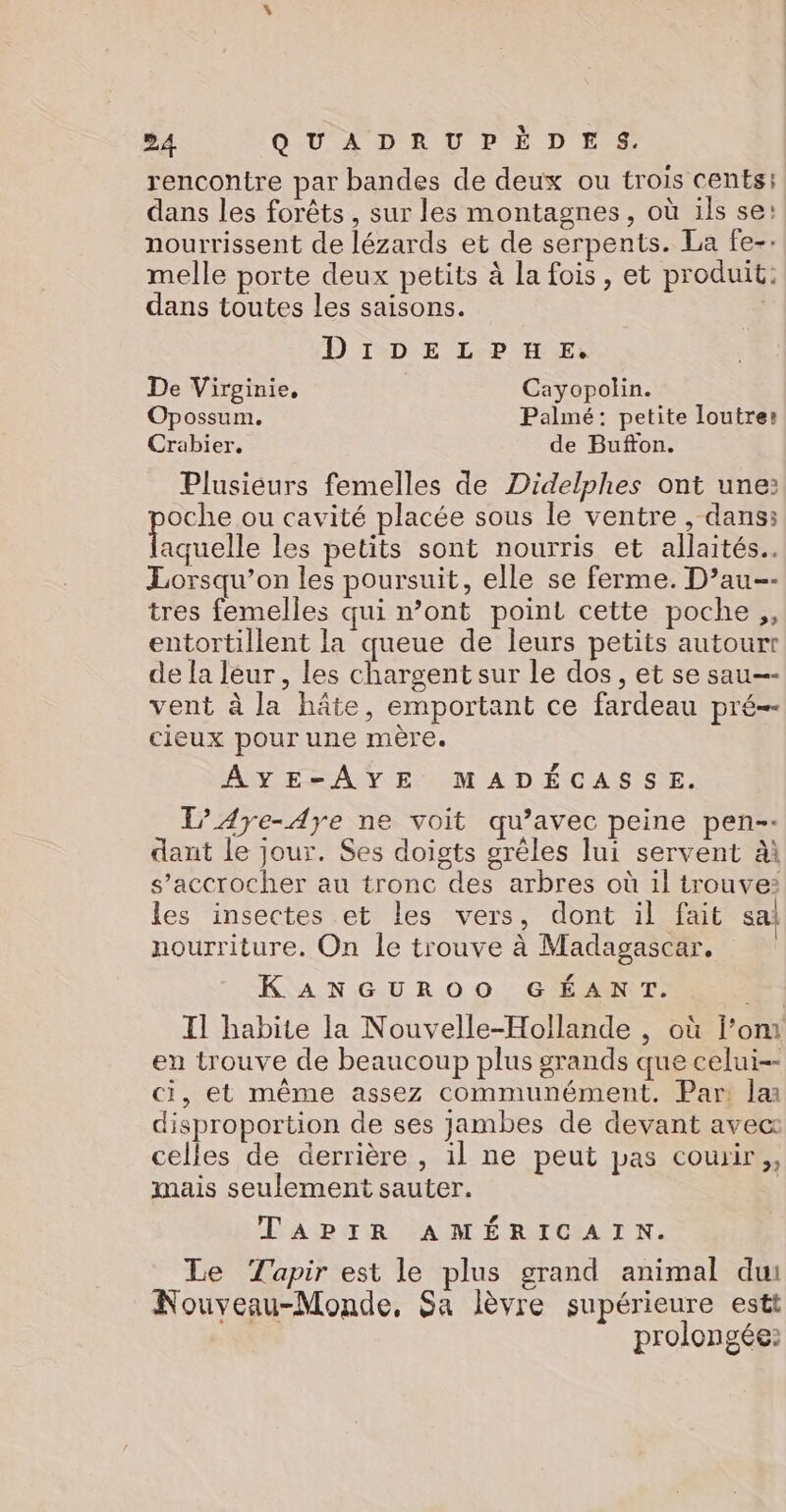 rencontre par bandes de deux ou trois cents: dans les forêts, sur les montagnes, où ils se: nourrissent de lézards et de serpents. La fe-. melle porte deux petits à la fois, et produit. dans toutes les saisons. D'ISDE LP HE: De Virginie, Cayopolin. Opossum. Palmé: petite loutres Crabier. de Bufton. Plusieurs femelles de Didelphes ont une: pSRuS ou cavité placée sous le ventre, dans: aquelle les petits sont nourris et allaités.. Lorsqu’on les poursuit, elle se ferme. D’au-- tres femelles qui n’ont point cette poche ,, entortillent la queue de leurs petits autourr de la leur, les chargent sur le dos, et se sau-- vent à la hâte, emportant ce fardeau pré- cieux pour une mère. AYE-AÂAYE MADÉCASSE. l’Aye-Aye ne voit qu'avec peine pen-- dant le jour. Ses doigts grèles lui servent ài s’accrocher au tronc des arbres où il trouve: les insectes et les vers, dont il fait sa! nourriture. On le trouve à Madagascar. KANGUROO GÉANT. en trouve de beaucoup plus grands que celui-- ci, et même assez communément. Par: la disproportion de ses jambes de devant avec: celles de derrière , il ne peut pas courir, mais seulement sauter. | TAPIR AMÉRICAIN. Le Tapir est le plus grand animal du Kouveau-Monde, Sa lèvre supérieure estt prolongée: