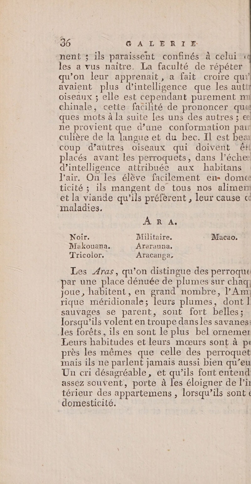 nent ; ils paraissent confinés à celui les a vus naître. La faculté de répéter qu'on leur apprenait, a fait croire qu? avaient plus d'intelligence que les autt oiseaux ; elle est cependant purement mn chinale, cette facilité de prononcer quué ques mots à la suite les uns des autres ; € ne provient que d’une conformation pair culière de la langue et du bec. Il est beaa coup d’autres oiseaux qui doivent êfl placés avant les perroquets, dans l’éches d'intelligence attribuée aux Hhabitans : l'air. On les élève facilement en domee ticité ; ils mangent de tous nos alimeni et la viande qu’ils préfèrent , leur cause « maladies. À R A. Noir. Militaire. Macao. Makouana. Ararauna. Tricoior. Aracanpa, Les ras, qu’on distingue des perroque par une place dénuée de plumes sur chaq] joue, habitent, en grand nombre, l’ Am: rique méridionale; leurs plumes, dont | sauvages se parent, sont fort belles; lorsqu’ils volent en troupe dansles savanes: les forêts, ils en sont le plus bel ornemer Leurs habitudes et leurs mœurs sont à pt près les mêmes que celle des perroquet mais ils ne parlent jamais aussi bien qu’eu Un cri désagréable, et qu’ils font entend assez souvent, porte à les éloigner de li térieur des appartemens , lorsqu'ils sont € domesticité. |