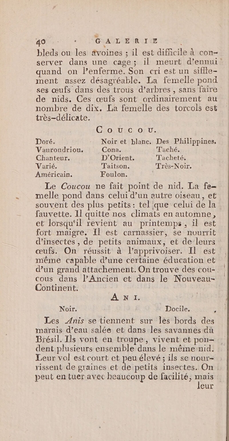 AE à GALERIE bleds ou les âvoines ; il est difficile à con- server dans une cage; il meurt d’ennui quand on lenferme. Son cri est un sifile- ment assez désagréable. La femelle pond ses œufs dans des trous d’arbres , sans faire de nids. Ces œufs sont ordinairement au nombre de dix. La femelle des torcols est très-délicate. Cro.u:0c or ü. Doré. Noir et blanc. Des Philippines. Vauroudriou. Cona. Taché. Chanteur. D'Orient. Tacheté, Varié. Taitson. Très-Noir. Américain. Foulon. | Le Coucou ne fait point de nid. La fe- melle pond dans celui d’un autre oiseau, et souvent des plus petits: telique celui de la fauvette. Il quitte nos climats en automne ’ et lorsqu'il revient au printemps, il est fort maigre. Il est carnassier, se nourrit d'insectes , de petits animaux, et de leurs œufs. On réussit à lapprivoiser. Il est même capable d’une certaine éducation et d’un grand attachement. On trouve des cou-. cous dans l’Ancien et dans le Nouveau- Continent. | A NI. Noir. Docile. e Les Anis se tiennent sur les bords des marais d’eau salée et dans les savannes dù Brésil. Ils vont en troupe, vivent et pon- dent plusieurs ensemble dans le même nid. Leur vol est court et peu élevé ; ils se nour- rissent de graines et de petits insectes. On peut en tuer avec beaucoup de facilité, AE eur