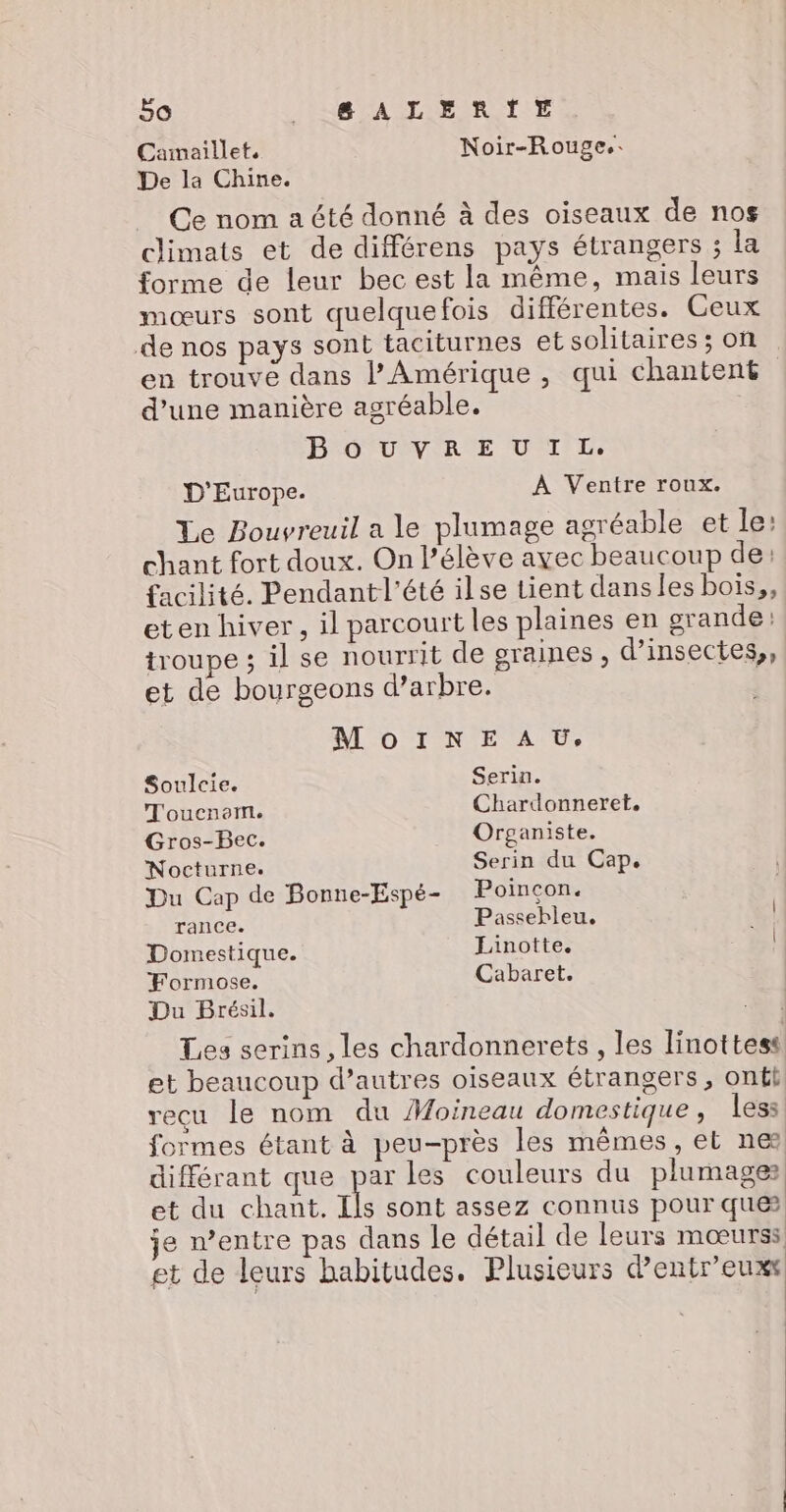 Camaillet. Noir-Rouge.. De la Chine. Ce nom a été donné à des oiseaux de nos climats et de différens pays étrangers ; la forme de leur bec est la même, mais leurs mœurs sont quelquefois différentes. Ceux de nos pays sont taciturnes et solitaires; on. en trouve dans Amérique , qui chantent d’une manière agréable. BOUYREUIL. D'Europe. À Ventre roux. Le Bouyreuil a le plumage agréable et le: chant fort doux. On l’élève avec beaucoup de: facilité. Pendantl'été ilse tient dansles bois,, eten hiver, il parcourt les plaines en grande: troupe ; il se nourrit de graines, d’insectes,, et de bourgeons d’arbre. MOINE AU, Soulcie. Serin. T'oucnem. Chardonneret, Gros-Bec. Organiste. Nocturne. Serin du Cap. Du Cap de Bonne-Espé- Poincon. rance. Passebleu. [4 Domestique. Linotte. Formose. Cabaret. Du Brésil. Les serins, les chardonnerets , les linottess et beaucoup d’autres oiseaux étrangers, ontl, recu le nom du Moineau domestique , less formes étant à peu-près les mêmes, et neæ différant que par les couleurs du plumage et du chant. ils sont assez connus pour que je w’entre pas dans le détail de leurs mœurss et de leurs habitudes, Plusieurs d’entr’euxt