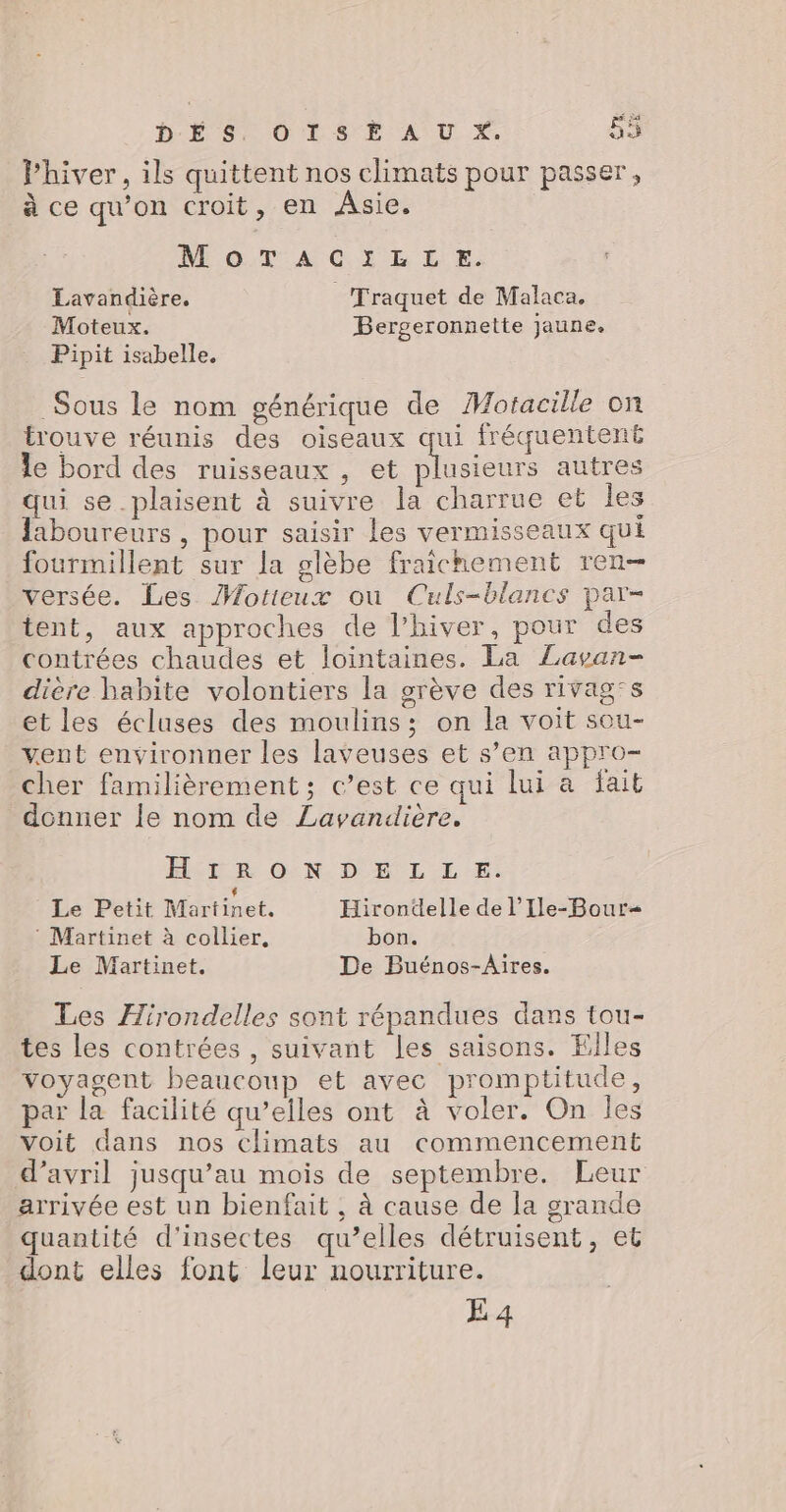 ë ler 5 Le DÉS, OISE A U X. Phiver, ils quittent nos climats pour passer, à ce qu'on croit, en Asie. MoOoTACGIELLE. Lavandière. _ Traquet de Malaca. Moteux. Bergeronnette jaune. Pipit isabelle. Sous le nom générique de Motacille on trouve réunis des oiseaux qui fréquentent le bord des ruisseaux , et isiebs autres qui se_plaisent à suivre la charrue et Îles laboureurs , pour saisir les vermisseaux qui fourmillent sur la glèbe fraichement ren— versée. Les Motieux ou Culs-blancs par- tent, aux approches de l'hiver, pour des contrées chaudes et lointaines. La Lavan- dière habite volontiers la grève des rivag:s et les écluses des moulins; on la voit sou- vent environner les laveuses et s’en appro- cher familièrement; c’est ce qui lui a fait donner le nom de Lavandlière. FT R ON DE L LE. C1 Le Petit Martinet. Hirondelle de l’Ile-Bour ® Martinet à collier, bon. Le Martinet. De Buénos-Aires. Les Hirondelles sont répandues dans tou- tes les contrées, suivant les saisons. Elles voyagent beaucoup et avec promptitude, par la facilité qu’elles ont à voler. On les voit dans nos climats au commencement d'avril jusqu’au mois de septembre. Leur arrivée est un bienfait , à cause de la grande quantité d'insectes qu’elles détruisent, et dont elles font leur nourriture. E 4