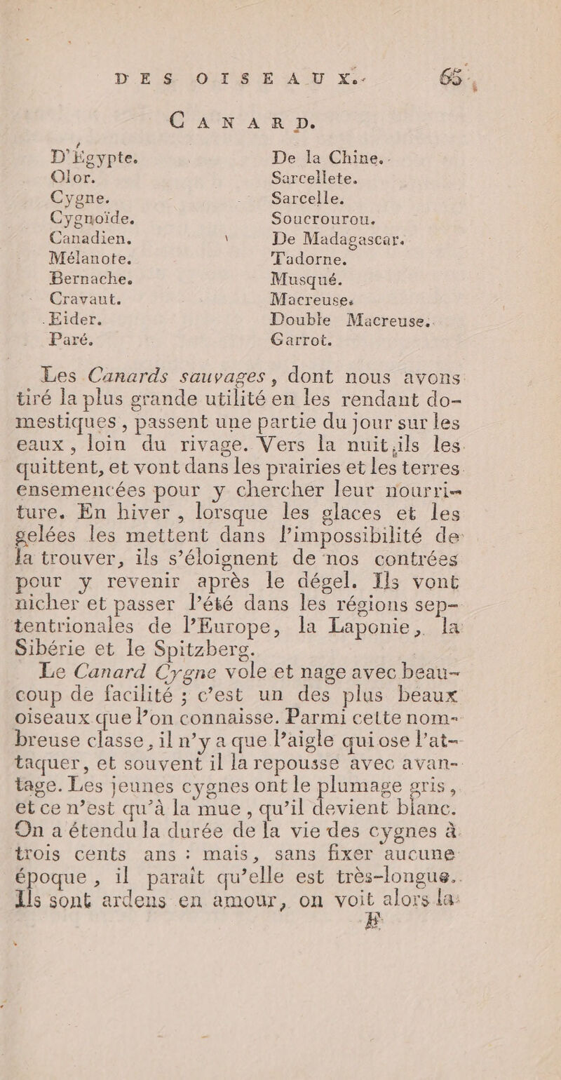 C'ANN AR D. D'Égypte. De la Chine. Olor. Sarcellete. Cygne. .: Sarcelle. Cygnoïde. Soucrourou. Canadien. \ De Madagascar. Mélanote. T'adorne. Bernache. Musqué. -. Cravaut. Macreuse: .Eider. Double Macreuse.. Paré. Garrot. Les Carnards sauvages, dont nous avons tiré la plus grande utilité en les rendant do- mestiques , passent une partie du jour sur les eaux, loin du rivage. Vers la nuit,ils les. quittent, et vont dans les prairies et les terres. ensemencées pour y chercher leur nourri ture. En hiver , lorsque les glaces et les gelées les mettent dans l’impossibilité de: la trouver, ils s’éloignent de nos contrées pour y revenir après le dégel. Ils vont nicher et passer l’été dans les régions sep- tentrionales de l’Europe, la Laponie, la Sibérie et le Spitzberg. Le Canard Cygne vole et nage avec beau- coup de facilité ; c’est un des plus beaux oiseaux que l’on connaisse. Parmi celte nom- breuse classe, il n’y a que l'aigle quiose l’at- taquer, et souvent il la repousse avec avan- tage. Les jeunes cygnes ont le plumage gris, et ce n’est qu’à la mue, qu’il devient blanc. On a étendu la durée de la vie des cygnes à. trois cents ans : mais, sans fixer aucune époque , il parait qu’elle est très-longue.. Ils sont ardens en amour, on voit alors la: Æ