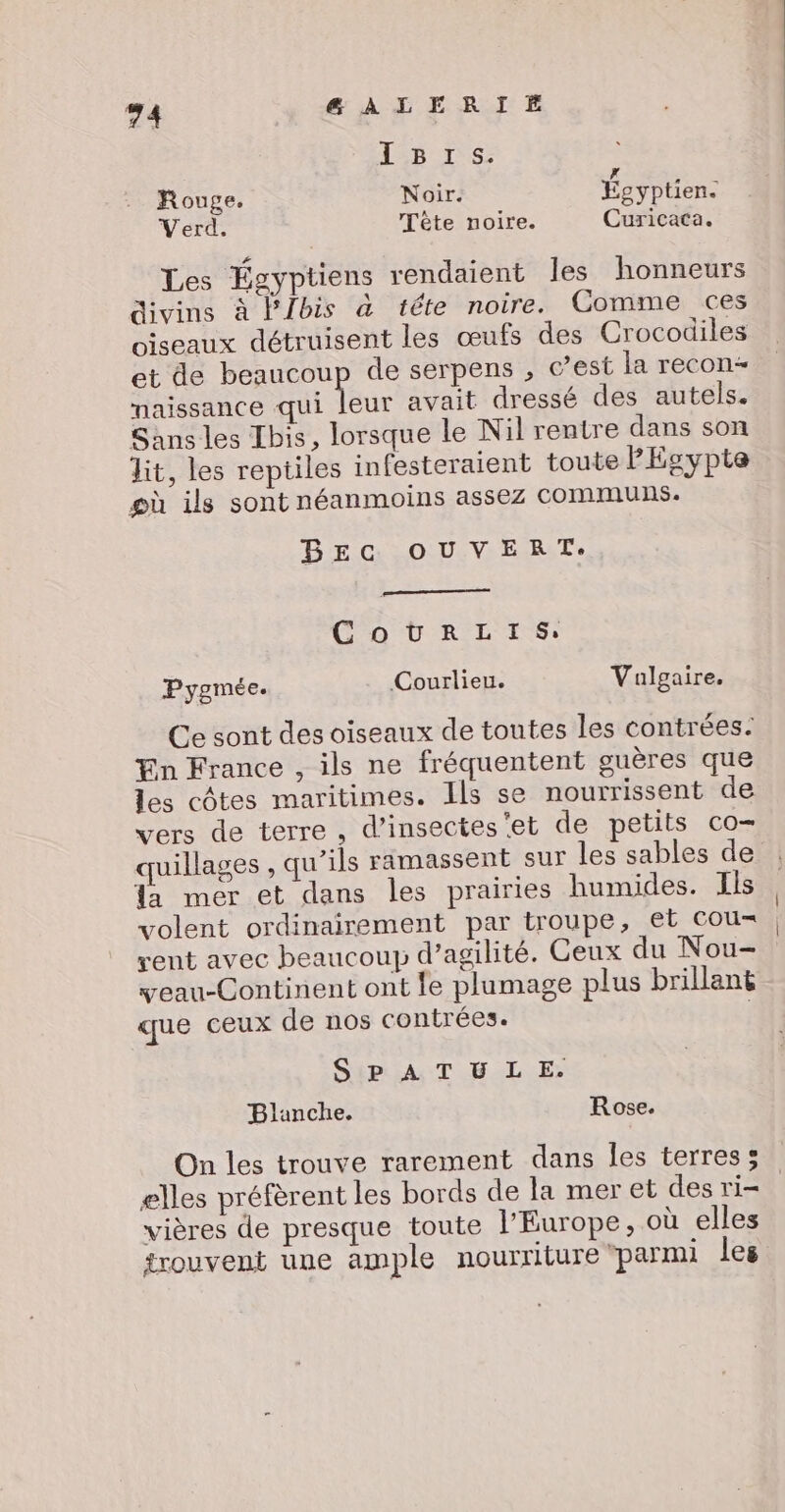 IB:1s. x Rouge. Noir. Égyptien. Verd. Tête noire. Curicaca. : Les Égyptiens rendaient Îles honneurs divins à Plbis à téte noire. Comme ces oiseaux détruisent les œufs des Crocodiles et de beaucoup de serpens , c’est la recon naissance qui leur avait dressé des autels. Sans les Ibis, lorsque le Nil rentre dans son lit, les reptiles infesteraient toute PEsypte où ils sont néanmoins assez communs. BE OUVERT. CotrzLIS. Pygmée. Courlieu. Valgaire. Ce sont des oiseaux de toutes les contrées. En France , ils ne fréquentent guères que les côtes maritimes. Ils se nourrissent de vers de terre , d'insectes'et de petits co quillages , qu’ils ramassent sur les sables de Ta mer et dans les prairies humides. Ils volent ordinairement par troupe, et cou vent avec beaucoup d’agilité. Geux du Nou- veau-Continent ont fe plumage plus brillant que ceux de nos contrées. | Sp A T &amp; LE. Blanche. Rose. On les trouve rarement dans les terres; elles préfèrent les bords de la mer et des ri- vières de presque toute l'Europe, où elles trouvent une ample nourriture ‘parmi les