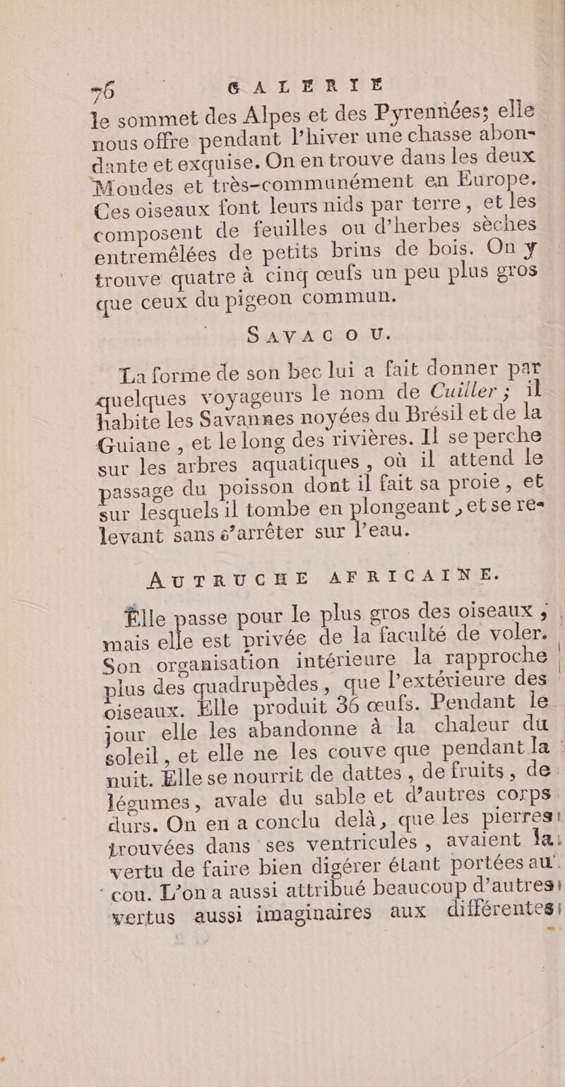 le sommet des Alpes et des Pyrennées; elle nous offre pendant lhiver une chasse abon- dante et exquise. On en trouve dans les deux Mondes et très-communément en Europe. Ces oiseaux font leurs nids par terre, et les composent de feuilles ou d'herbes sèches entremélées de petits brins de bois. On y trouve quatre à cinq œufs un peu plus gros que ceux du pigeon commun. SAVAC O U. La forme de son bec lui a fait donner par quelques voyageurs le nom de Cuiller ; il Habite les Savannes noyées du Brésil et de la Guiane , et le long des rivières. Il se perche sur les arbres aquatiques, Où il attend le passage du poisson dont il fait sa proie, eE sur lesquels il tombe en plongeant ,etse re= levant sans s’arrêter sur l’eau. AUTRUCHE AFRICAINE. Élle passe pour le plus gros des oiseaux ; | mais elle est privée de la faculté de voler. Son organisation intérieure la rapproche | plus des quadrupèdes , que l’extérieure des oiseaux. Elle produit 36 œufs. Pendant 1e jour elle les abandonne à la chaleur du soleil , et elle ne les couve que pendant la : nuit. Elle se nourrit de dattes, de fruits, de. légumes, avale du sable et d’autres corps. durs. On en a conclu delà, que les pierres: irouvées dans ses ventricules , avaient fa: vertu de faire bien digérer élant portées au. : cou, L'on a aussi attribué beaucoup d’autres vertus aussi imaginaires aux différentes: