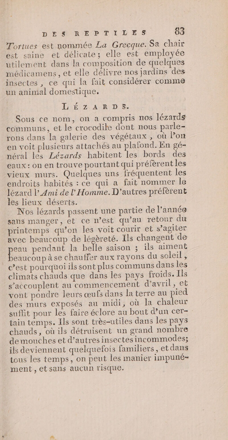 Tortues est nommée La Grecque. Sa chair est saine et délicate; elle est employée utilement dans la composition de quelques médicamens , et elle délivre nos jardins des insectes , ce qui la fait considérer comme un animal domestique, LÉ EL A RDS Sous ce nom, on a compris nos lézards communs, et le crocodile dont nous parle- rons dans la galerie des végétaux , où Pon en voit plusieurs attachés au plafond. En gé- néral les Lézards habitent les bords des eaux: on en trouve pourtant qui préfèrent les vieux murs. Quelques uns fréquentent les endroits habités : ce qui a fat nommer le lézard l’4mi de l'Homme. D’autres préfèrent les lieux déserts. Nos lézards passent une partie de l’année sans manger, et ce n’est qu'au retour du printemps qu’on les voit courir et s’agiter avec beaucoup de légèreté. Ils changent de pu pendant la belle saison ; ils aiment eaucoup àse chauffer aux rayons du soleil, Cest pourquoi ils sont plus communs dans les climats chauds que dans les pays froids. Ils s’accouplent au commencement d'avril, et vont pondre leurs œufs dans la terre au pied des murs exposés au midi, où la chaleur suffit pour les faire éclore au bout d’un cer- tain temps. Ils sont très-utiles dans les pays chauds, où ils détruisent un grand nombre de mouches et d’autres insectes incommodes; ils deviennent quelquefois familiers, et dans tous les temps, on peut les manier impuné= ment ,etsans aucun risque.