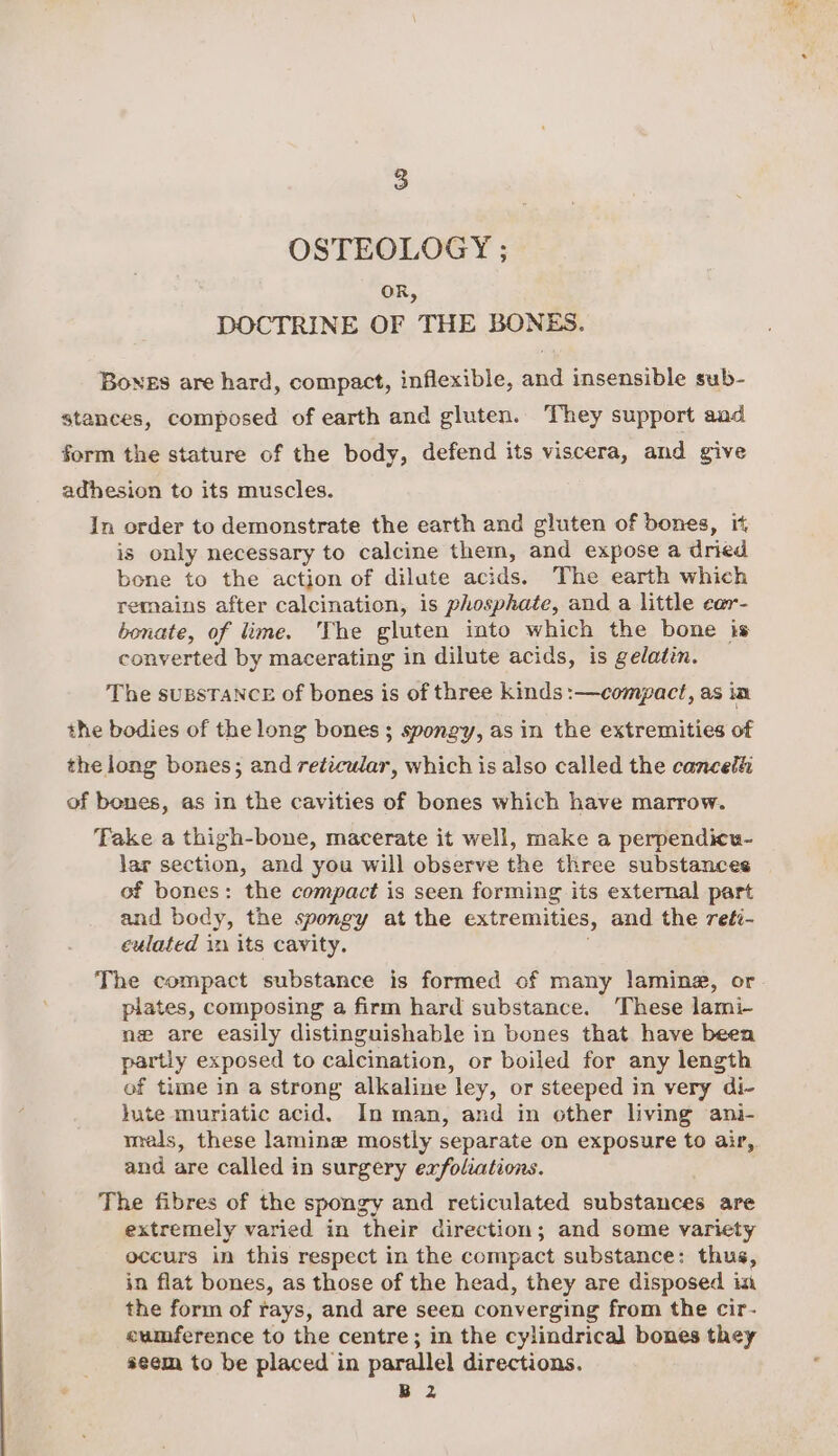 OSTEOLOGY ; OR, DOCTRINE OF THE BONES. Bones are hard, compact, inflexible, and insensible sub- stances, composed of earth and gluten. They support aad form the stature of the body, defend its viscera, and give adhesion to its muscles. In order to demonstrate the earth and gluten of bones, it, is only necessary to calcine them, and expose a dried bone to the action of dilute acids. The earth which remains after calcination, is phosphate, and a little ear- bonate, of lime. The gluten into which the bone is converted by macerating in dilute acids, is gelatin. The suBSTANCE of bones is of three kinds :—compact, as in the bodies of the long bones; spongy, as in the extremities of the long bones; and reticular, which is also called the cancel of bones, as in the cavities of bones which have marrow. Fake a thigh-bone, macerate it well, make a perpendicu- lar section, and you will observe the three substances of bones: the compact is seen forming its external part and body, the spongy at the extremities, and the reti- culated in its cavity. . The compact substance is formed of many laminz, or plates, composing a firm hard substance. These lami- nz are easily distinguishable in bones that have been partly exposed to calcination, or boiled for any length of time in a strong alkaline ley, or steeped in very di- hate muriatic acid. In man, and in other living ani- mals, these lamingw mostly separate on exposure to air, and are called in surgery exfoliations. The fibres of the spongy and reticulated substances are extremely varied in their direction; and some variety occurs in this respect in the compact substance: thus, in flat bones, as those of the head, they are disposed im the form of rays, and are seen converging from the cir- eumference to the centre; in the cylindrical bones they seem to be placed in parallel directions. B 2 a