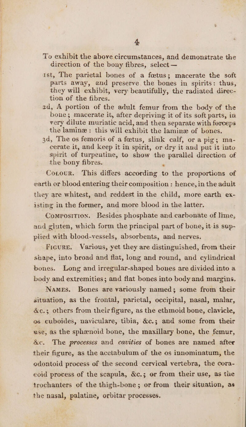 To exhibit the above circumstances, and demonstrate the direction of the bony fibres, select — ist, The parietal bones of a foetus; macerate the soft parts away, end preserve, the bones in spirits: thus, they will exhibit, very beautifully, the radiated direc- tion of the fibres. 2d, A portion of the edult femur from the body of the bone; macerate it, after depriving it of its soft parts, in very dilute muriatic acid, and then separate with ferceps the lamingw : this will exhibit the lamine of bones. 3d, The os femoris of a foetus, slink calf, or a pig; ma- cerate it, and keep it in spirit, or dry it and put it into spirit of turpentine, to show the parallel direction of the bony fibres. ; CoxLour. This differs according to the proportions of earth or blood entering their composition : hence, in the adult they are whitest, and reddest in the child, more earth ex- isting in the former, and more blood in the latter. Composition. Besides phosphate and carbonate of lime, aud gluten, which form the principal part of bone, it is sup- plied with blood-vessels, absorbents, and nerves. Figure. Various, yet they are distinguished, from their shape, into broad and flat, long and round, and cylindrical bones. Long and irregular-shaped bones are divided into a body and extremities; and flat bones into body and margins, Names. Bones are variously named; some from their situation, as the frontal, parietal, occipital, nasal, malar, &amp;c.; others from their figure, as the ethmoid bone, clavicle, es cuboides, naviculare, tibia, &amp;c.; and some from their wse, as the sphenoid bone, the maxillary bone, the femur, &amp;c, The processes and cavities of bones are named after their figure, as the acetabulum of the os innominatum, the odontoid process of the second cervical vertebra, the cora- eoid process of the scapula, &amp;c.; or from their use, as the trochanters of the thigh-bone; or from their situation, as the nasal, palatine, orbitar processes.