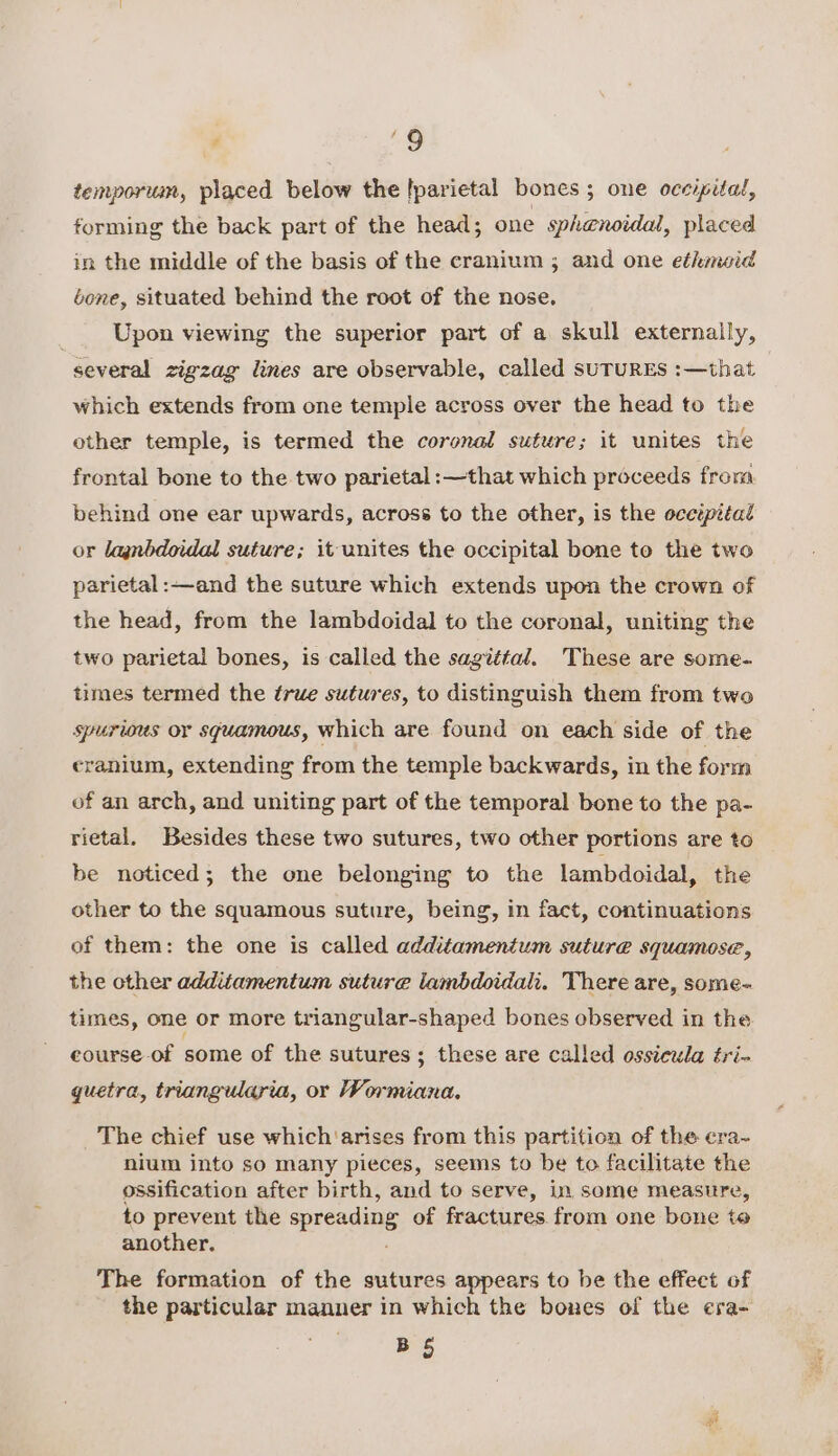 temporum, placed below the [parietal bones; one occipital, forming the back part of the head; one sphenoidal, placed in the middle of the basis of the cranium ; and one ethmoid bone, situated behind the root of the nose. _ Upon viewing the superior part of a skull externaily, several zigzag lines are observable, called sUTURES :—that which extends from one temple across over the head to the other temple, is termed the coronal suture; it unites the frontal bone to the two parietal :—that which proceeds from behind one ear upwards, across to the other, is the ocezpital or lagnbdoidal suture; it unites the occipital bone to the two parietal :—and the suture which extends upon the crown of the head, from the lambdoidal to the coronal, uniting the two parietal bones, is called the sagittal. These are some- times termed the true sutures, to distinguish them from two spurious or sguamous, which are found on each side of the cranium, extending from the temple backwards, in the form of an arch, and uniting part of the temporal bone to the pa- rietal. Besides these two sutures, two other portions are to be noticed; the one belonging to the lambdoidal, the other to the squamous suture, being, in fact, continuations of them: the one is called additamentum suture squamose, the other additamentum suture lambdoidali. There are, some- times, one or more triangular-shaped bones observed in the eourse of some of the sutures; these are called ossicula tri- quetra, triangularia, or Wormiana. The chief use which arises from this partition of the era- nium into so many pieces, seems to be to facilitate the ossification after birth, and to serve, in some measure, to prevent the spreading of fractures. from one bone to another. The formation of the sutures appears to be the effect of the particular manner in which the bones of the era- BS i