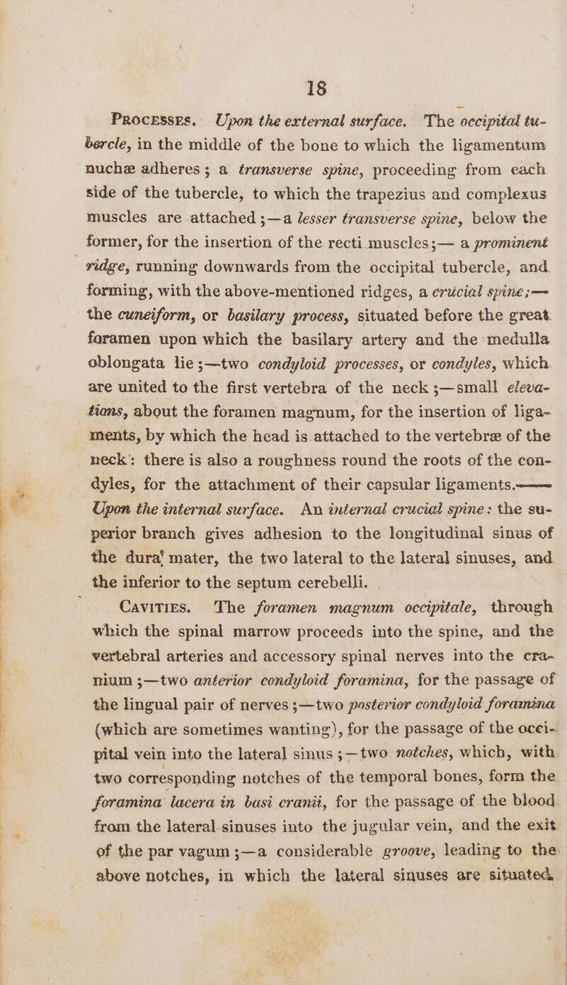 Processes. _ Upon the external surface. The occipital tu- bercle, in the middle of the bone to which the ligamentum nuche adheres ; a transverse spine, proceeding from each side of the tubercle, to which the trapezius and complexus muscles are attached ;—a lesser transverse spine, below the ridge, running downwards from the occipital tubercle, and. forming, with the above-mentioned ridges, a criucial spine;—~ foramen upon which the basilary artery and the medulla oblongata lie ;—two condyloid processes, or condyles, which are united to the first vertebra of the neck ;—small eleva- fons, about the foramen magnum, for the insertion of liga- ments, by which the head is attached to the vertebra of the neck’: there is also a roughness round the roots of the con- dyles, for the attachment of their capsular ligaments. Upon the internal surface. An internal crucial spine: the su- perior branch gives adhesion to the longitudinal sinus of the dura’ mater, the two lateral to the lateral sinuses, and. the inferior to the septum cerebelli. . Cavities. The foramen magnum occipitale, through which the spinal marrow proceeds into the spine, and the vertebral arteries and accessory spinal nerves into the cra- nium ;—two anterior condyloid foramina, for the passage of the lingual pair of nerves ;—two posterior condyloid foramina (which are sometimes wanting), for the passage of the ocei-. pital vein into the lateral sinus ;—two notches, which, with two corresponding notches of the temporal bones, form the foramina lacera in basi cranii, for the passage of the blood. from the lateral-sinuses into the jugular vein, and the exit of the par vagum ;—a considerable groove, leading to the. above notches, in which the lateral sinuses are situated