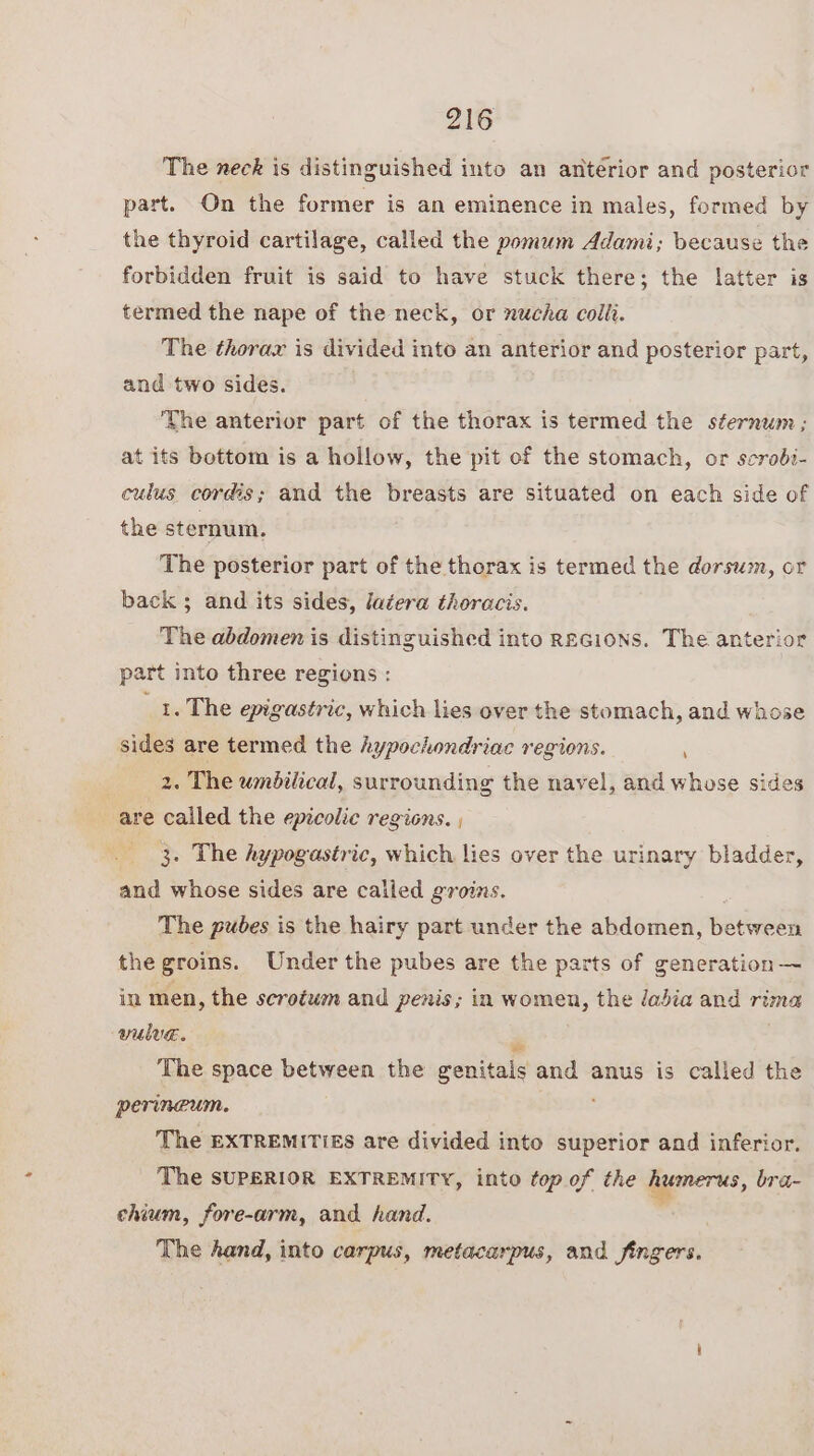 The neck is distinguished into an anterior and posterior part. On the former is an eminence in males, formed by the thyroid cartilage, called the pomum Adami; because the forbidden fruit is said to have stuck there; the latter is termed the nape of the neck, or nucha colli. The thorax is divided into an anterior and posterior part, and two sides. ‘The anterior part of the thorax is termed the sternum; at its bottom is a hollow, the pit of the stomach, or scrobi- culus cordis; and the breasts are situated on each side of the sternum. The posterior part of the thorax is termed the dorsum, or back ; and its sides, laéera thoracis. The abdomen is distinguished into REGIONS. The anterior part into three regions : 1. The epigastric, which lies over the stomach, and whose sides are termed the hypochondriac regions. 2. The umbilical, surrounding the navel, and whose sides are called the epicolie regions. ; , 3. The hypogastric, which lies over the urinary bladder, and whose sides are called groins. The pubes is the hairy part under the abdomen, peenenn the groins. Under the pubes are the parts of generation ~ in men, the scrotum and penis; in women, the dadia and rima wulve. The space between the genital and anus is called the perineum. The EXTREMITIES are divided into superior and inferior. The SUPERIOR EXTREMITY, into top of the humerus, bra- chium, fore-arm, and hand. The hand, into carpus, metacarpus, and fingers.