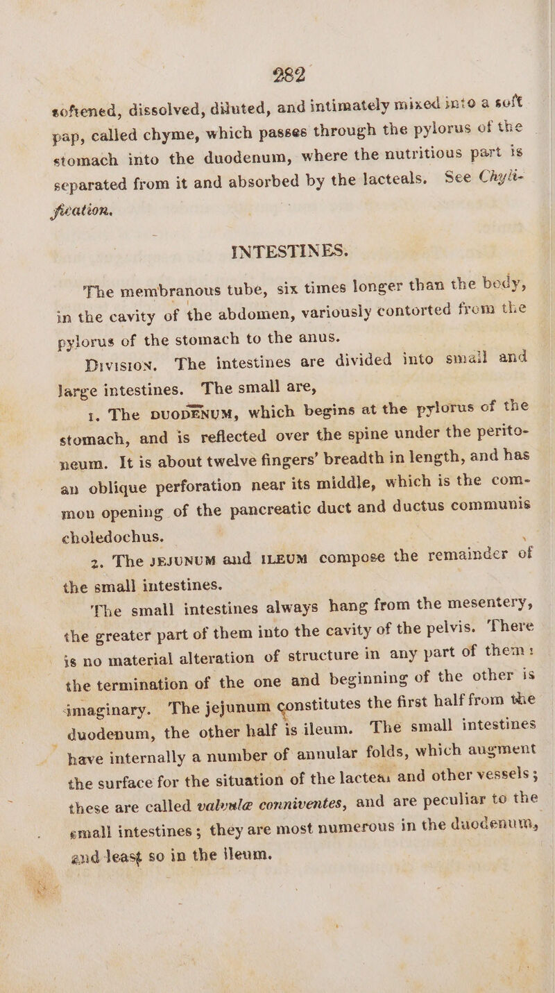 softened, dissolved, diluted, and intimately mixed into a soft pap, called chyme, which passes through the pylorus of the stomach into the duodenum, where the nutritious part is separated from it and absorbed by the lacteals, See Chyit- feation. INTESTINES. The membranous tube, six times longer than the bedy, in the cavity of the abdomen, variously contorted from the pylorus of the stomach to the anus. Diviston. The intestines are divided into smail and large intestines. The small are, 1. The puopENUM, which begins at the pylorus of the stomach, and is reflected over the spine under the perito- neum. It is about twelve fingers’ breadth in length, and has an oblique perforation near its middle, which is the com- mon opening of the pancreatic duct and ductus communis choledochus. 3. The sEsUNUM and ILEUM compose the remainder of the small intestines. ‘The small intestines always hang from the mesentery, the greater part of them into the cavity of the pelvis. There is no material alteration of structure in any part of them: the termination of the one and beginning of the other is 4maginary. The jejunum constitutes the first half from the duodenum, the other half is ileum. The smal] intestines have internally a number of annular folds, which augment the surface for the situation of the lacteas and other vessels; these are called valewle conniventes, and are peculiar to the small intestines; they are most numerous in the duodenum, and-least so in the ileum.